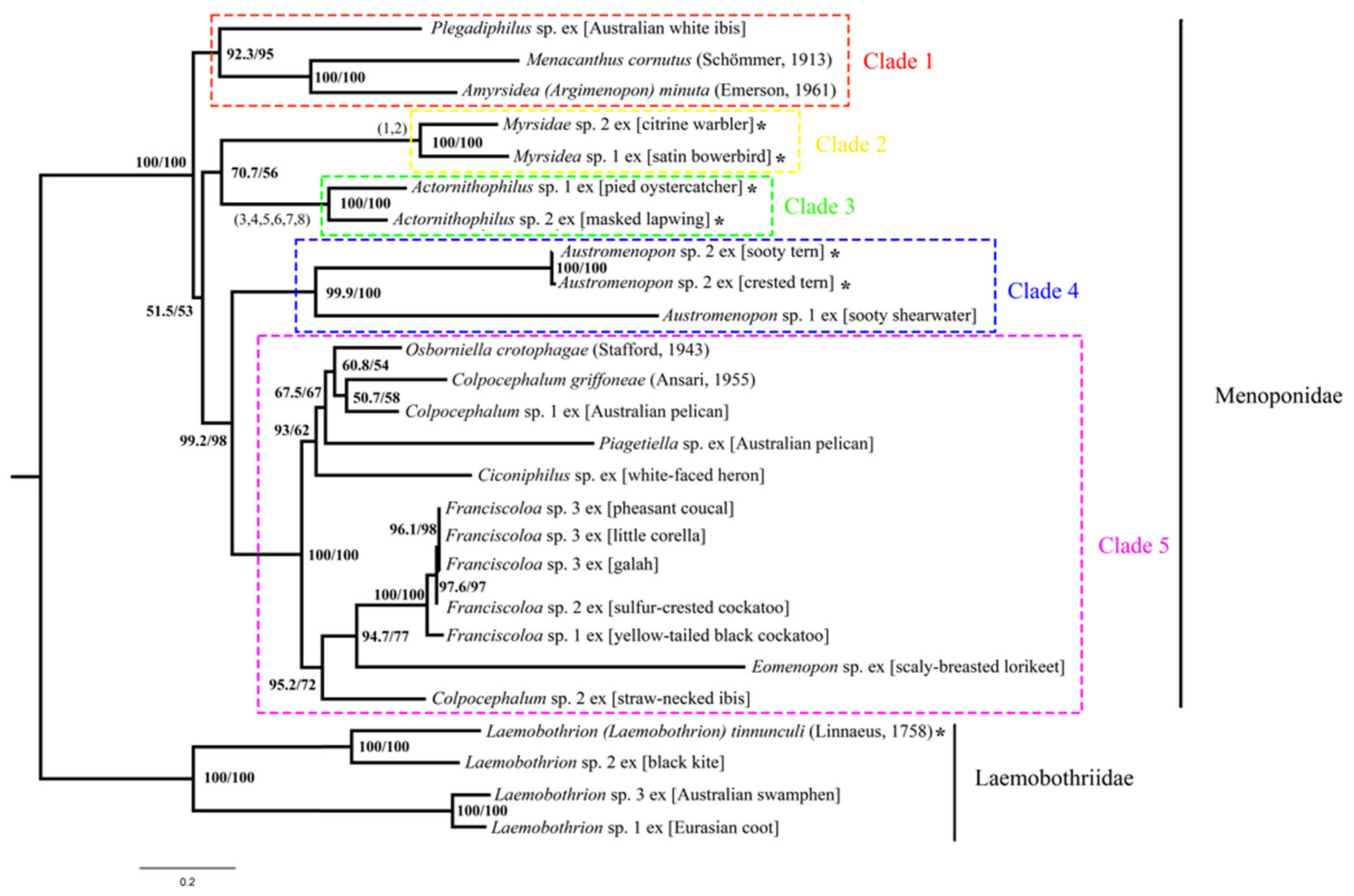 Animals 13 02046 g004