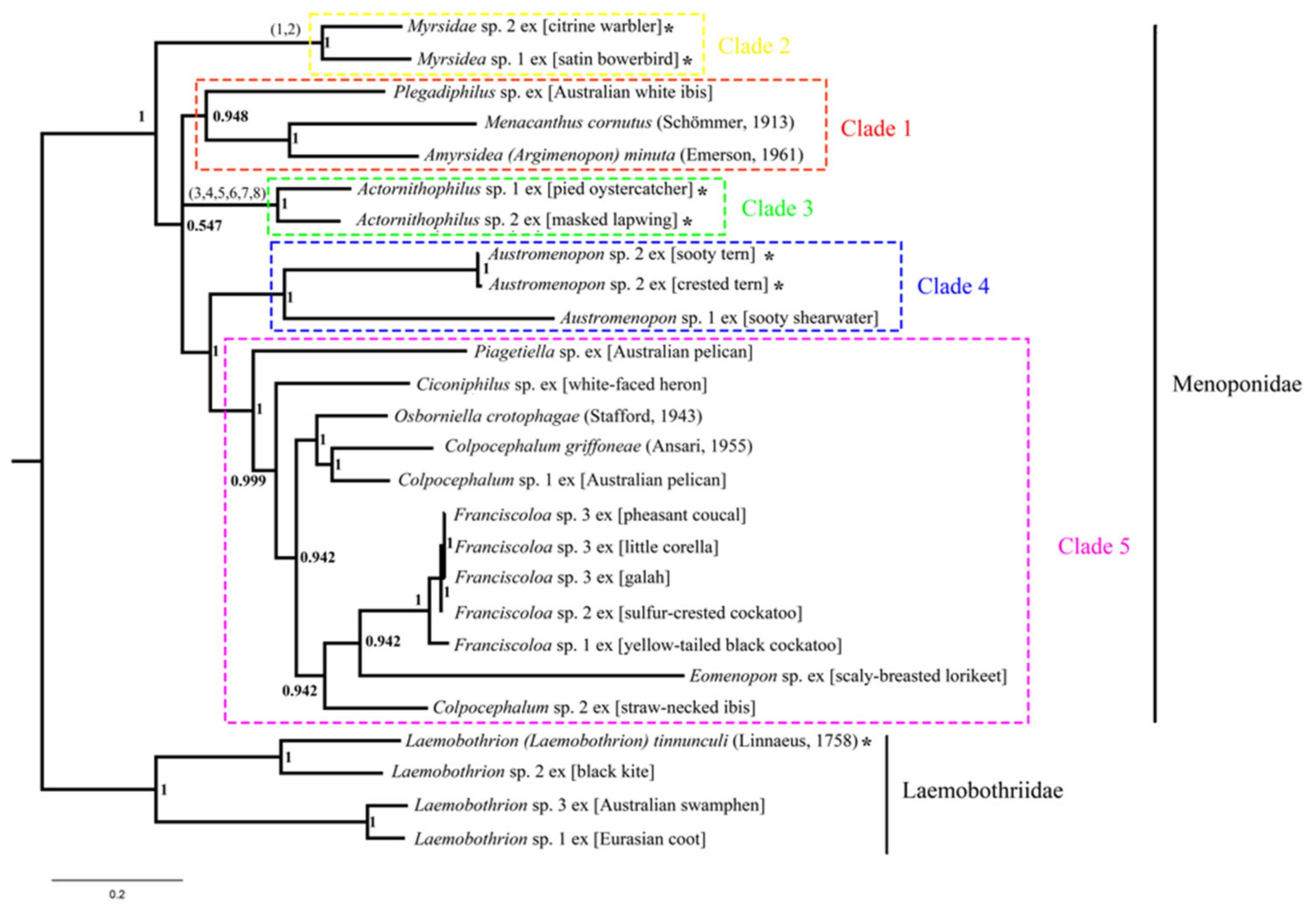 Animals 13 02046 g005
