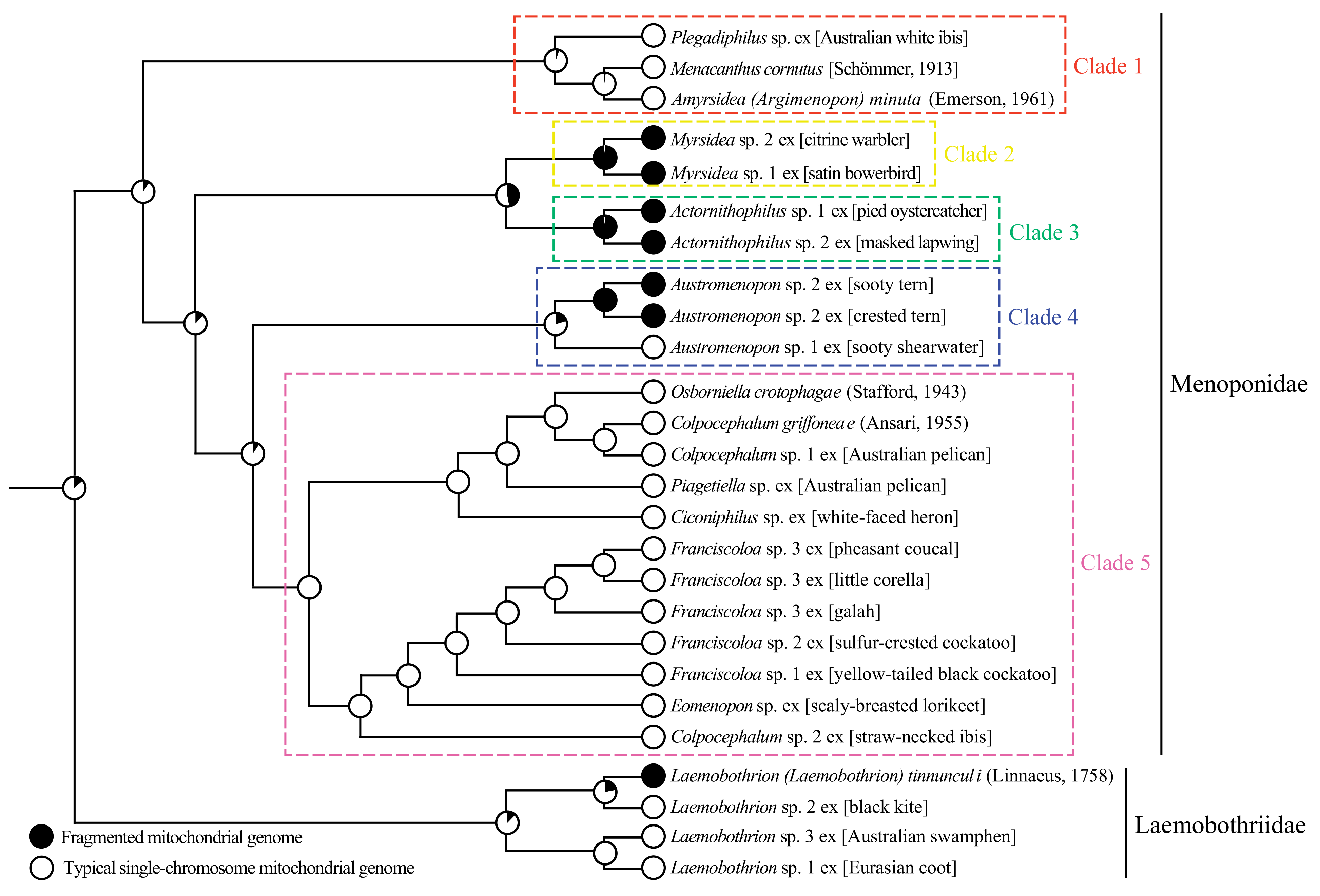 Animals 13 02046 g006