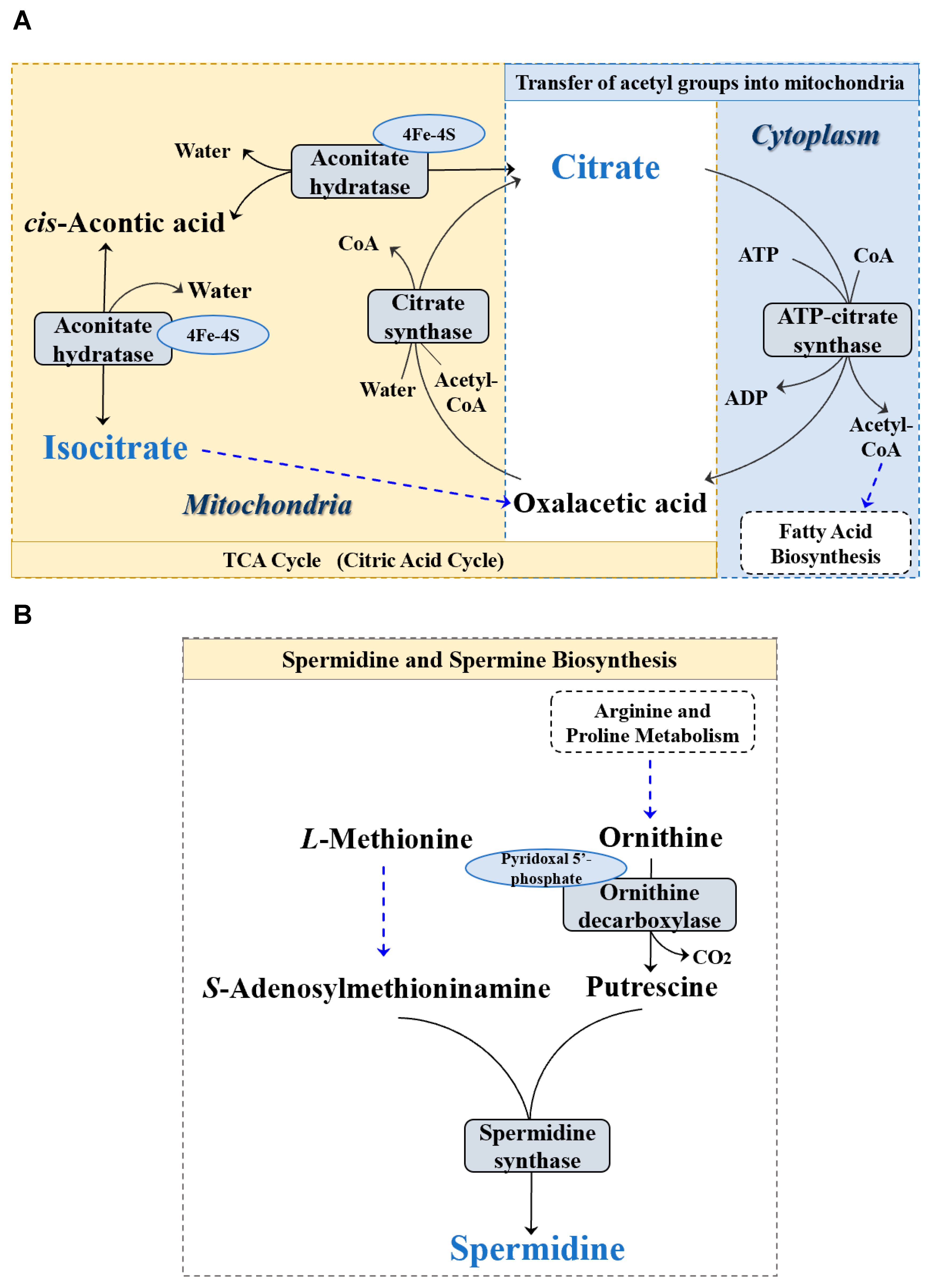 Animals 13 02108 g003