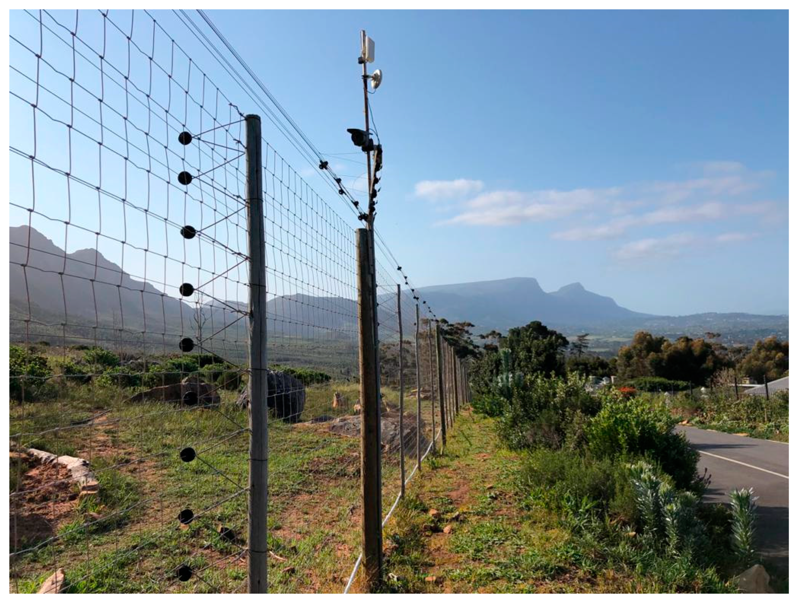 Animals 13 02125 g001