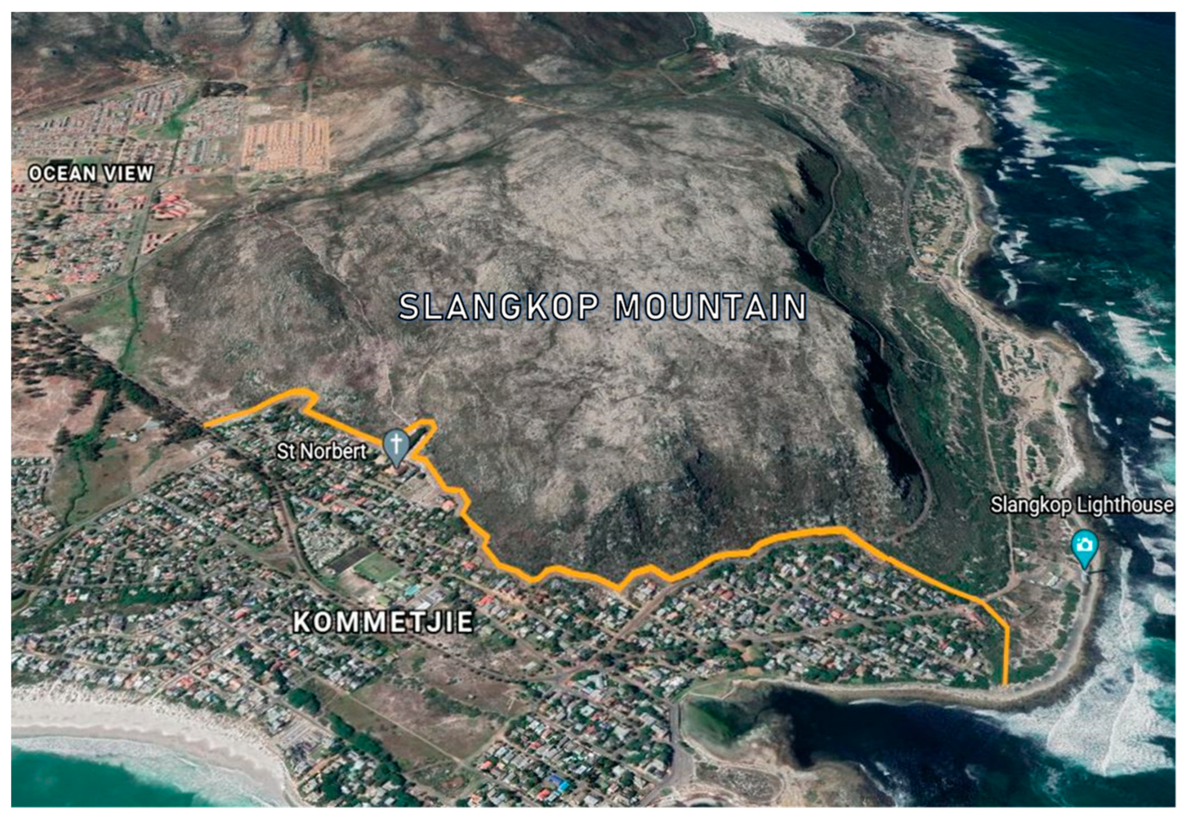 Animals 13 02125 g003