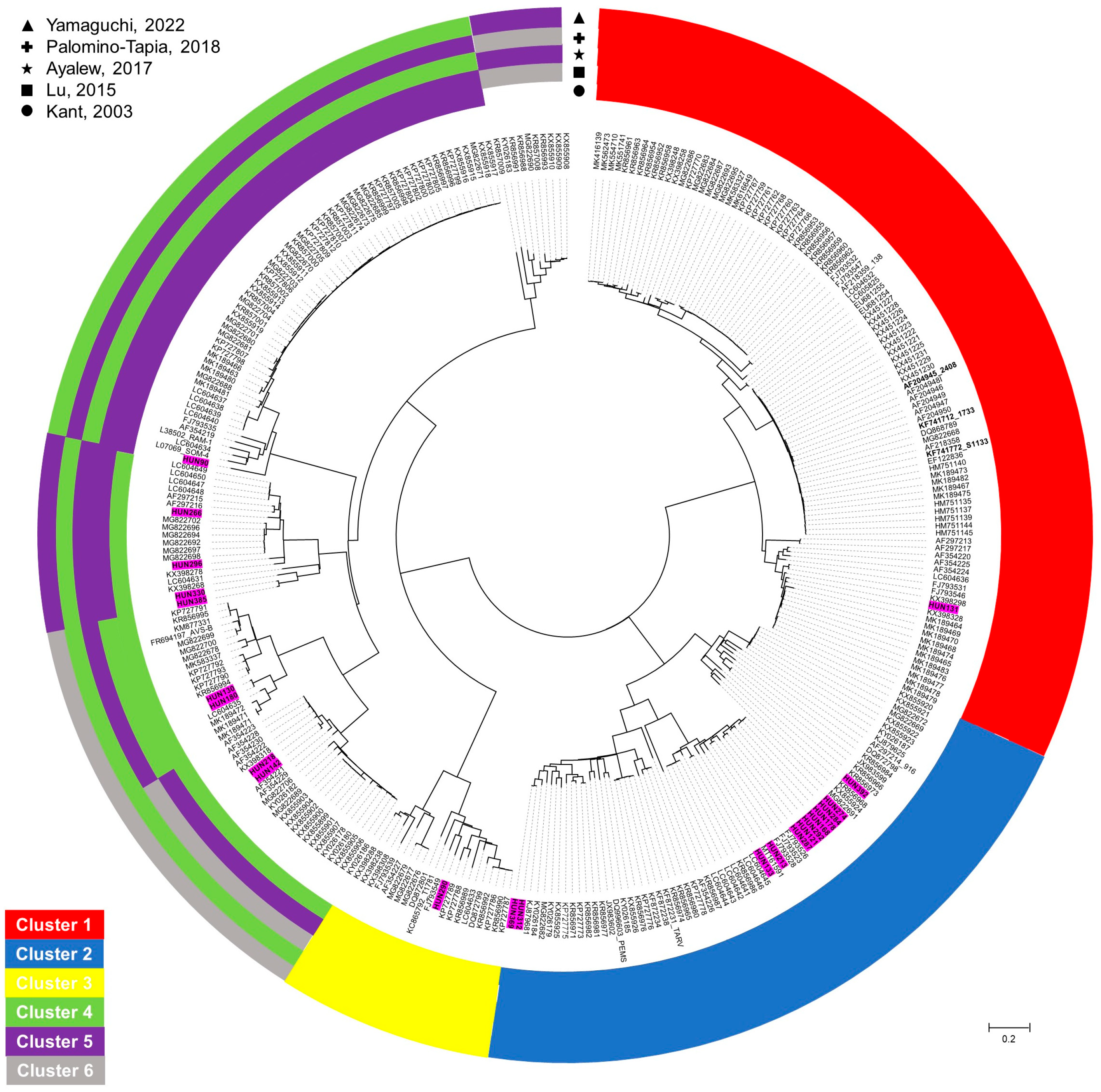 Animals 13 02137 g004 Animals 13 02137 g004