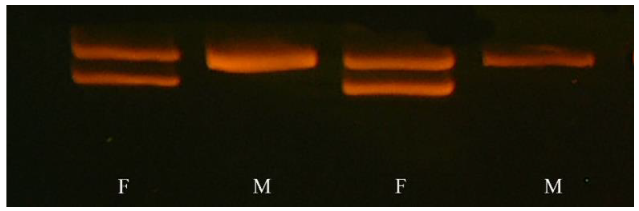 Animals 13 02142 g003 Animals 13 02142 g003