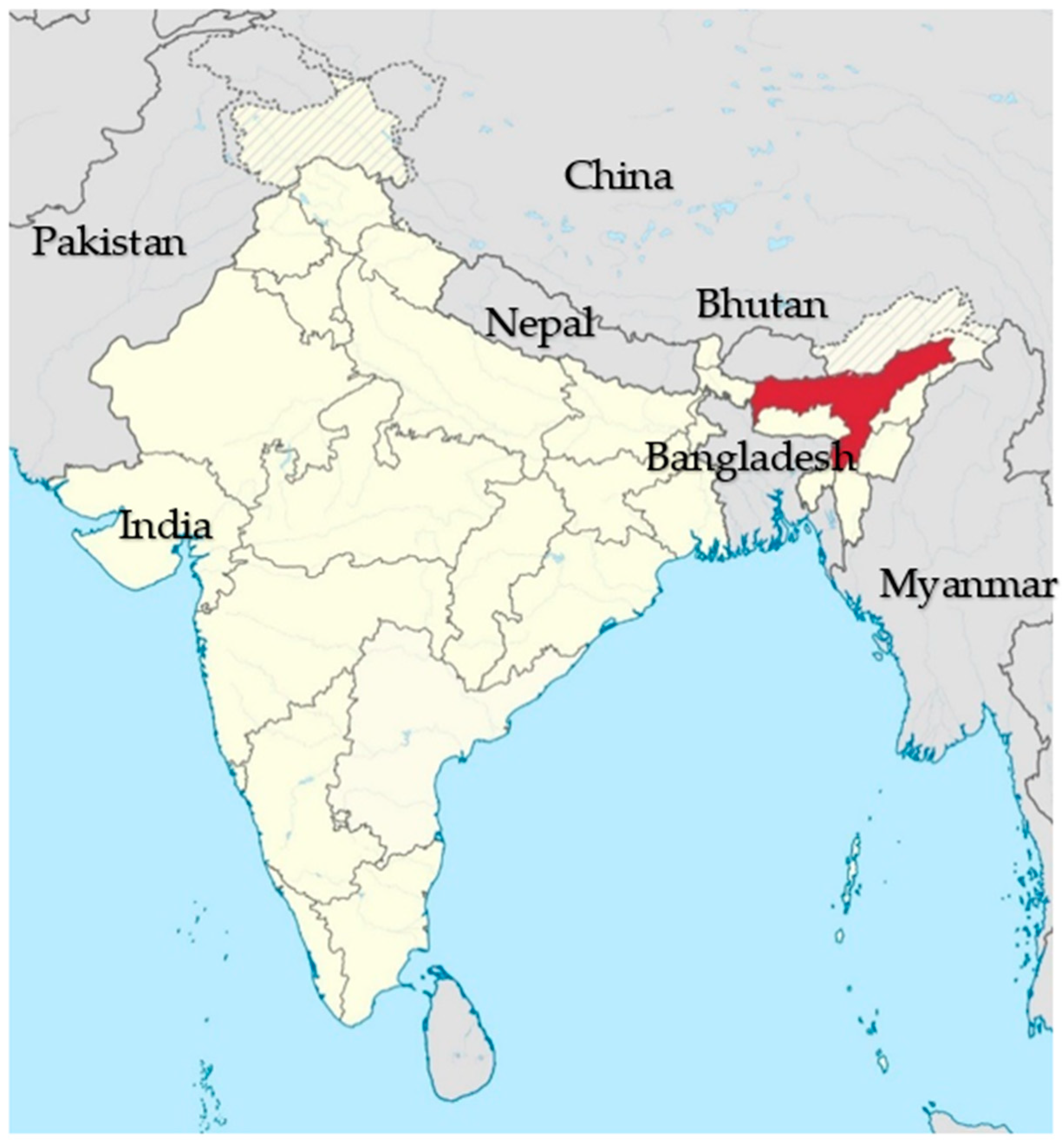 Animals 13 02151 g001