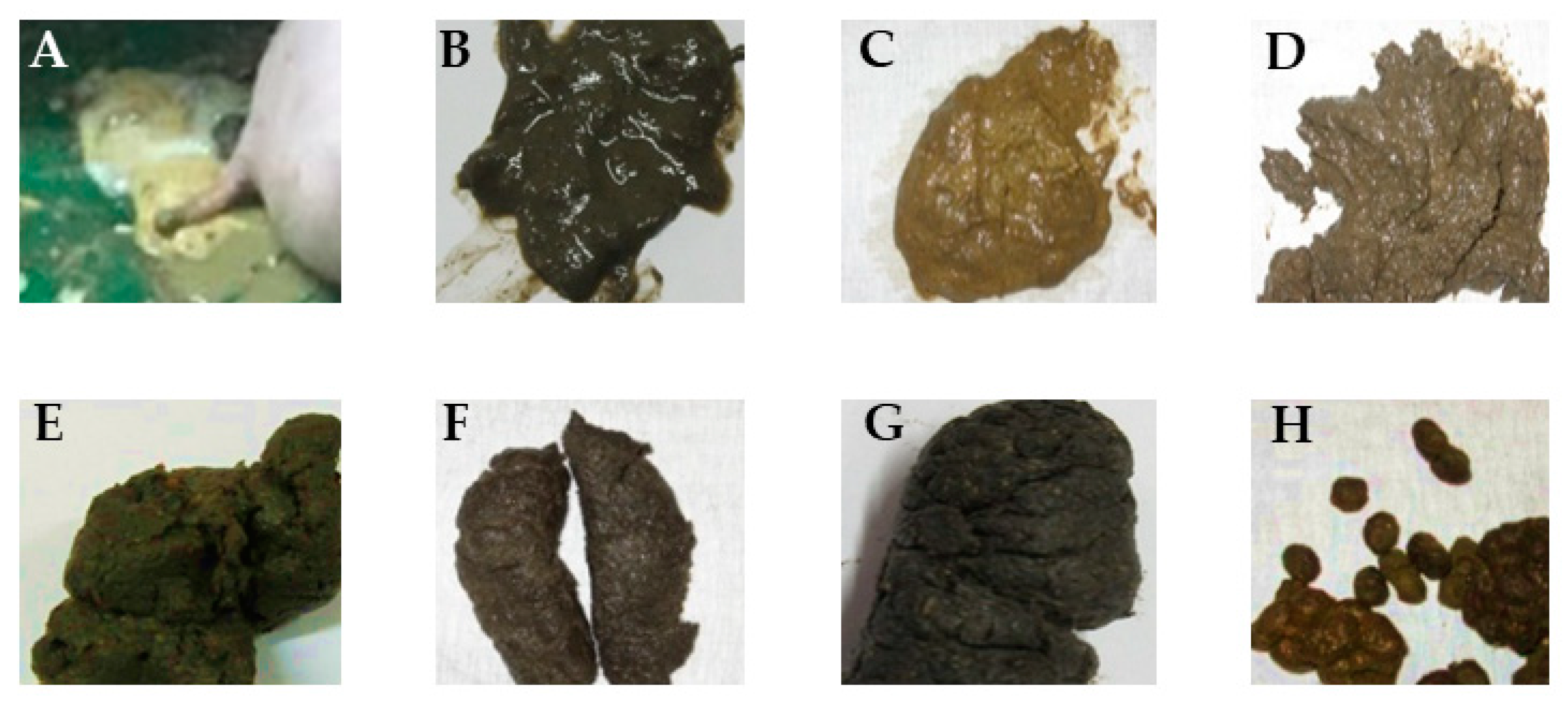 Animals 13 02159 g001 Animals 13 02159 g001