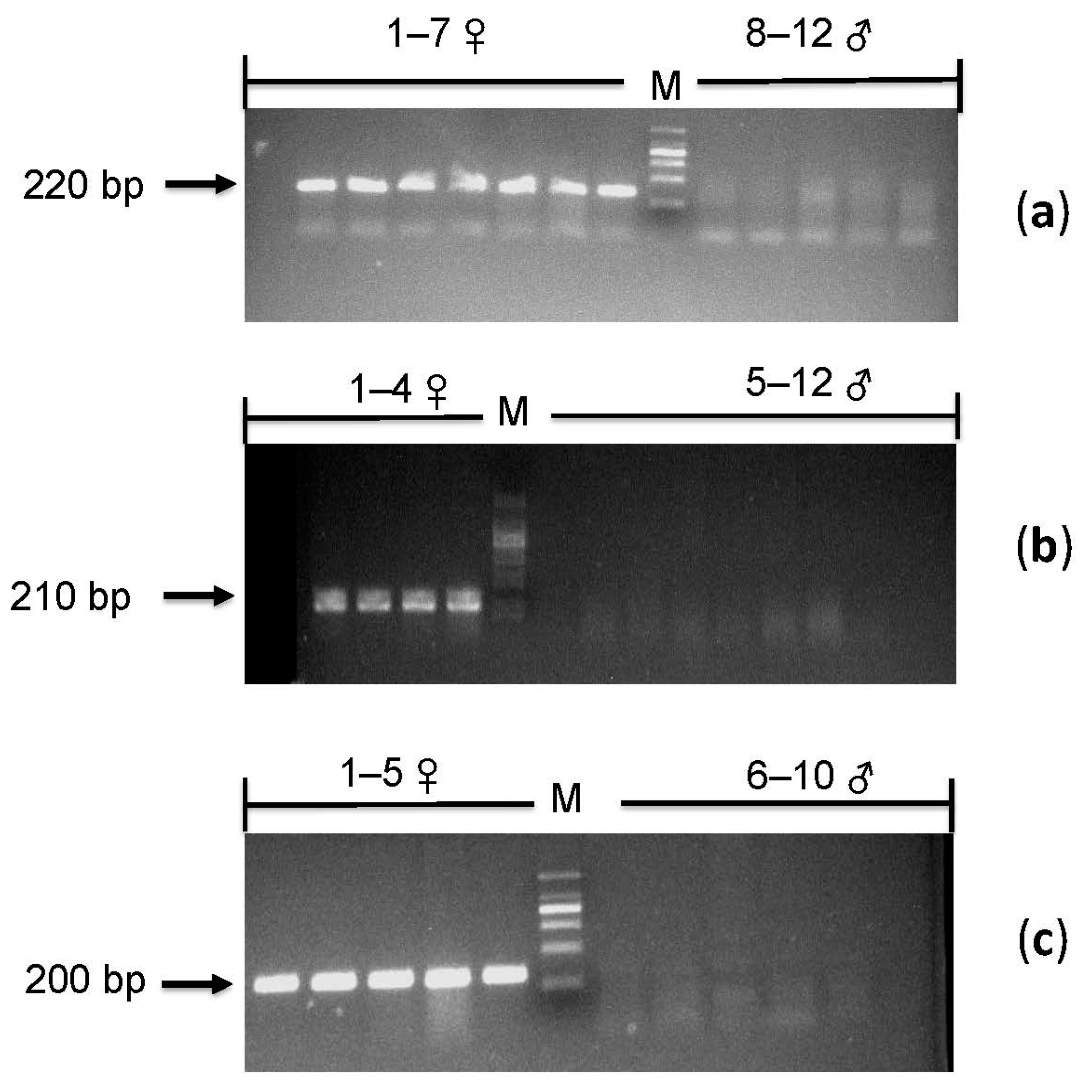 Animals 13 02180 g002 Animals 13 02180 g002