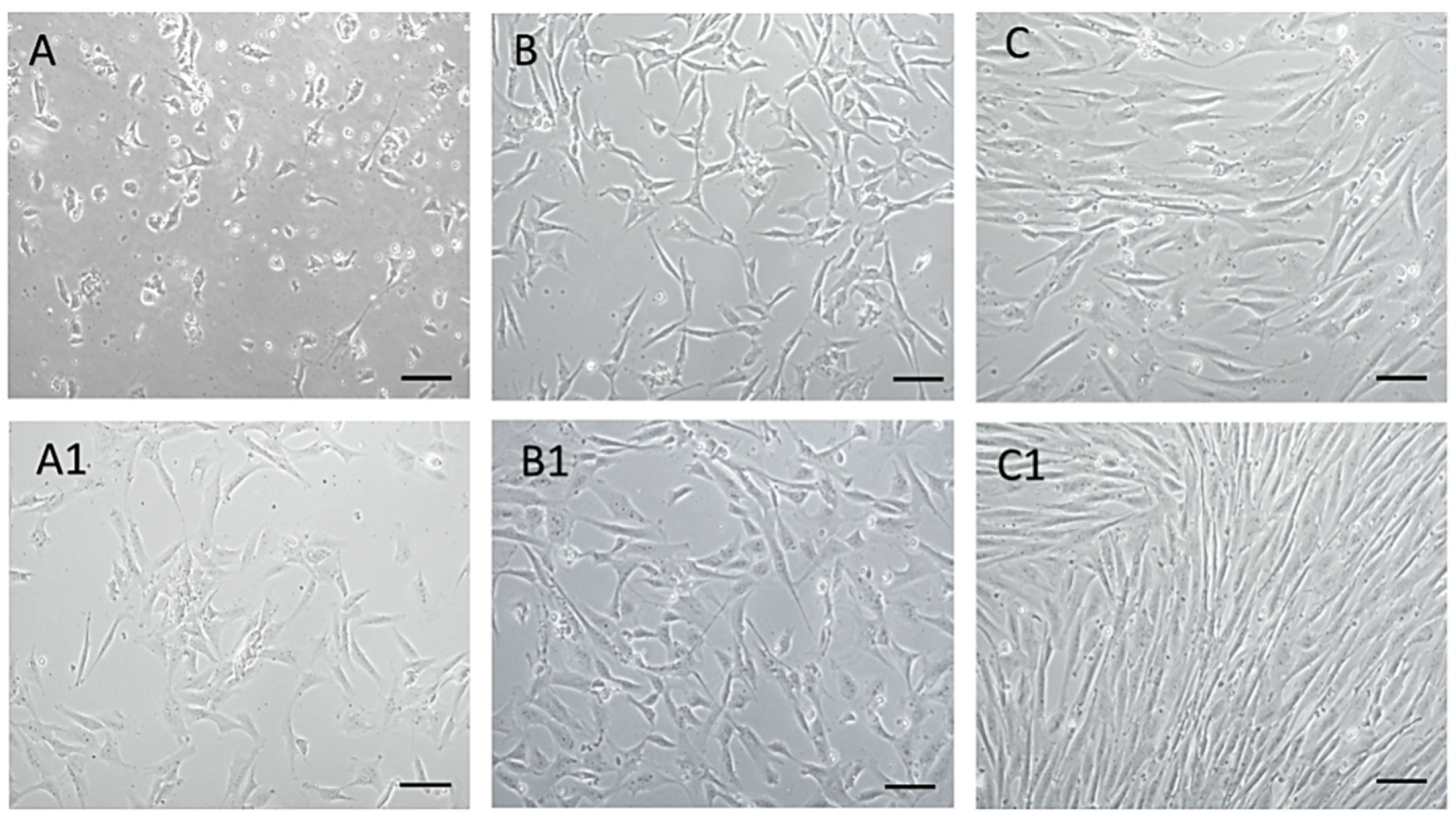 Animals 13 02195 g002