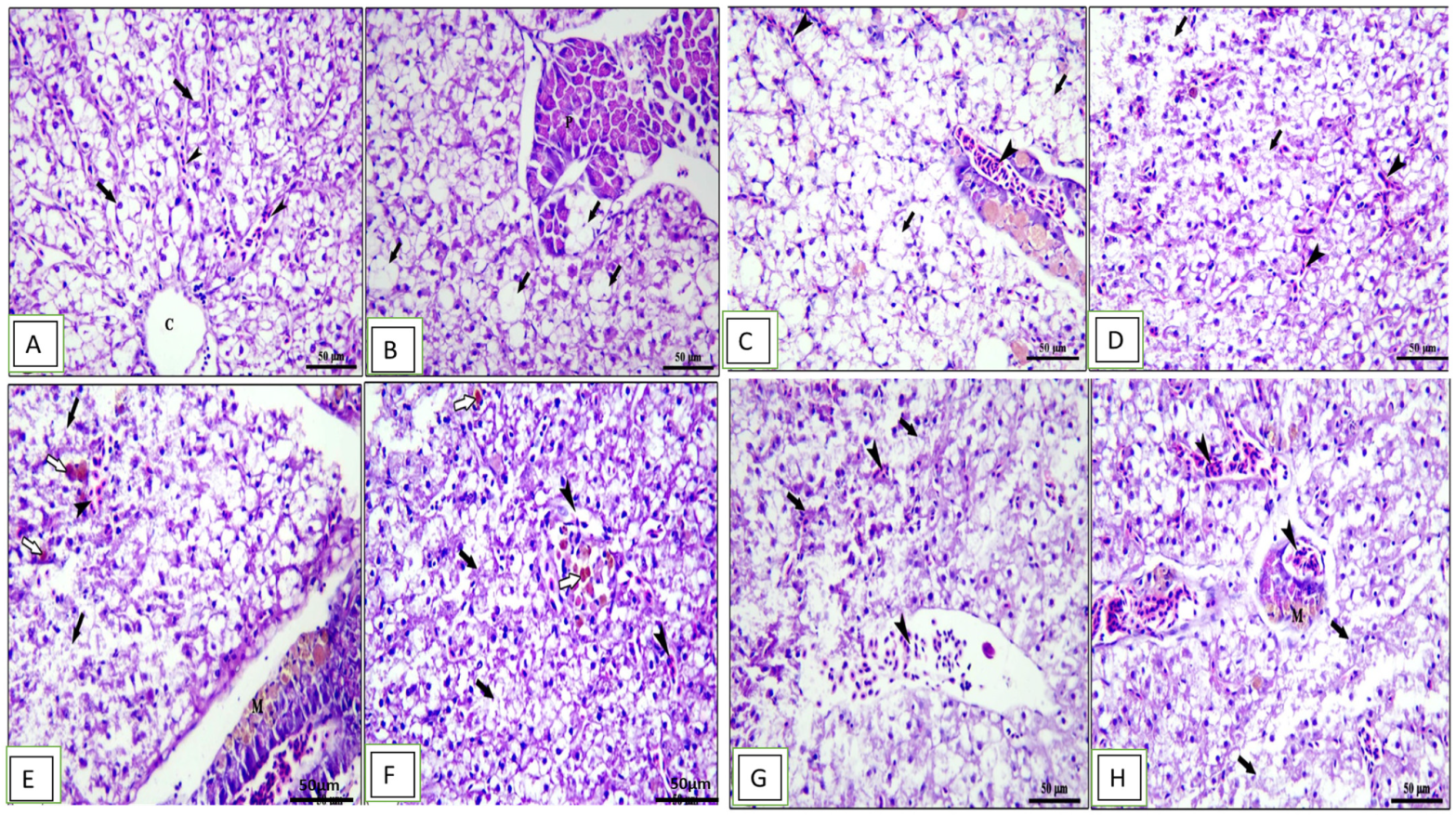 Animals 13 02229 g005 Animals 13 02229 g005