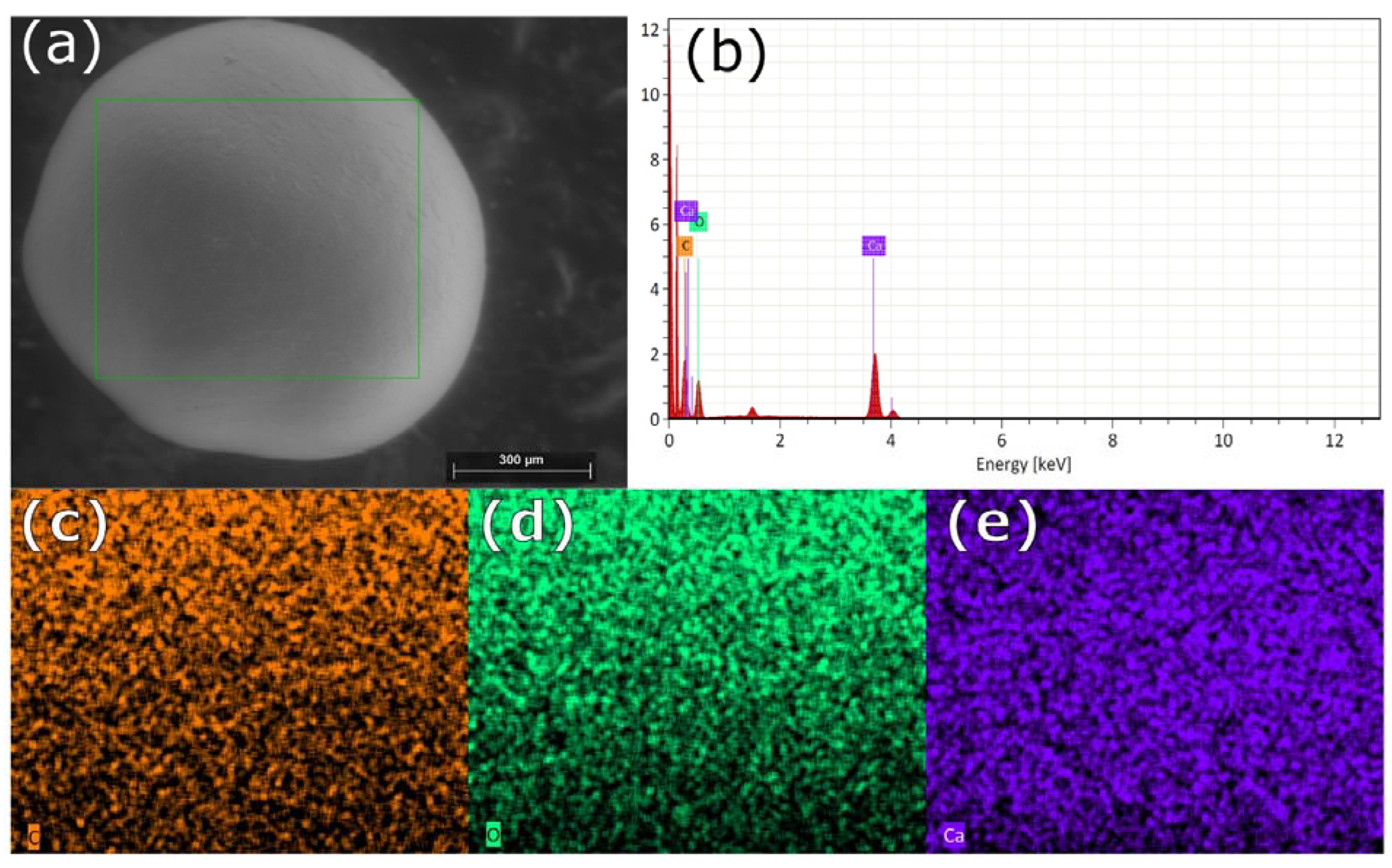 Animals 13 02231 g005 Animals 13 02231 g005