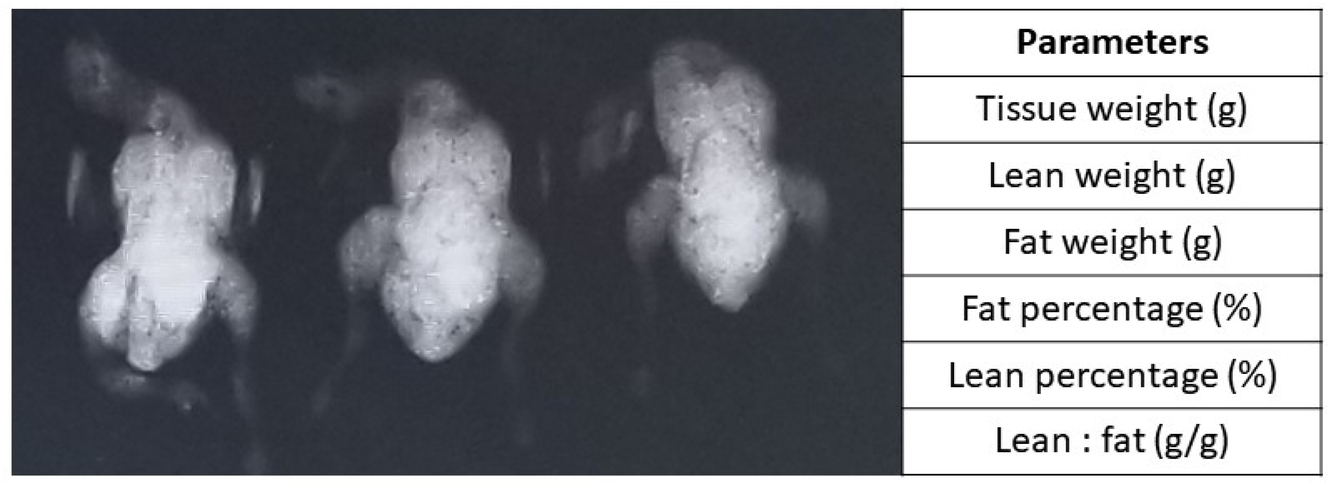 Animals 13 02237 g001