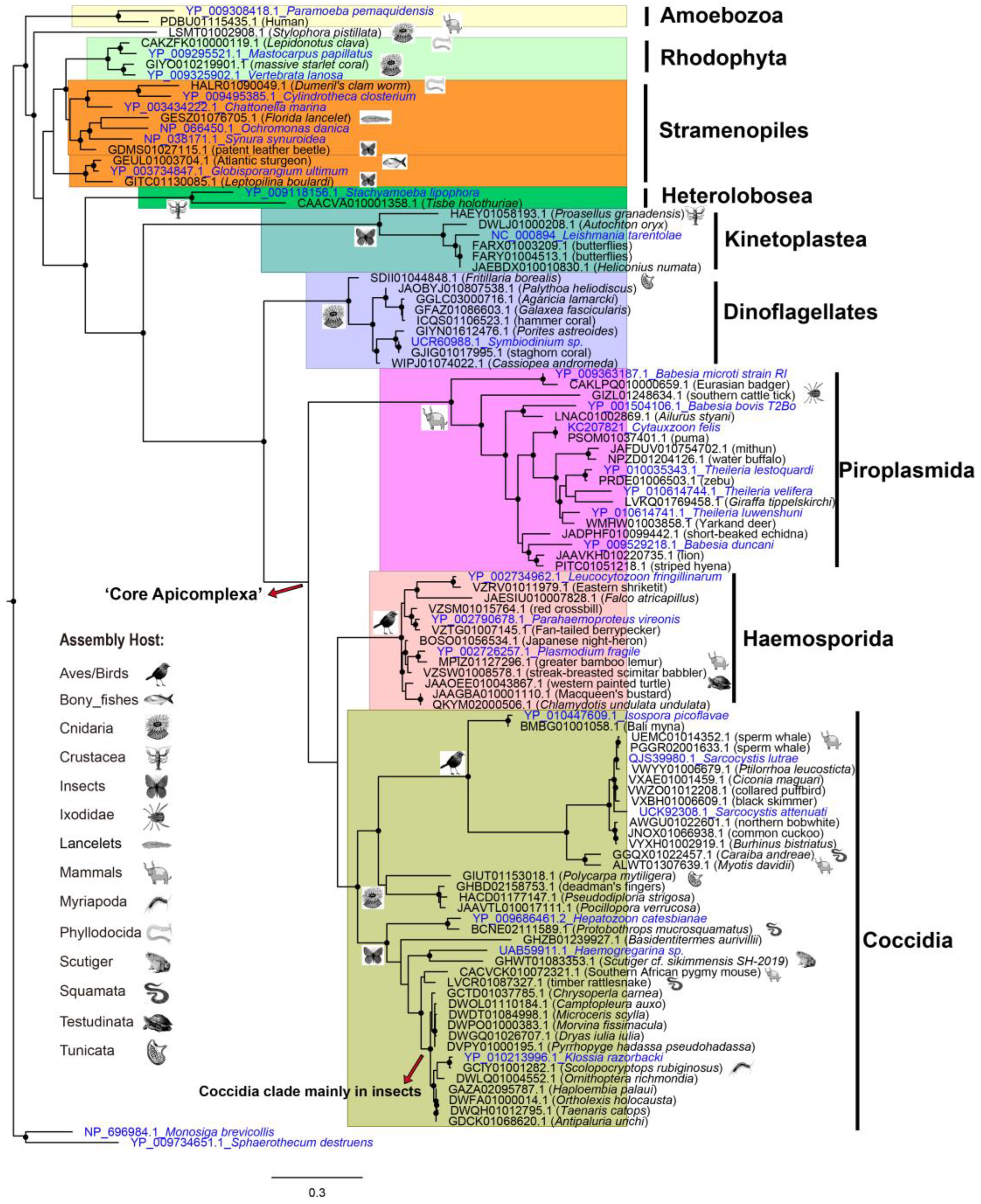 Animals 13 02243 g005 Animals 13 02243 g005