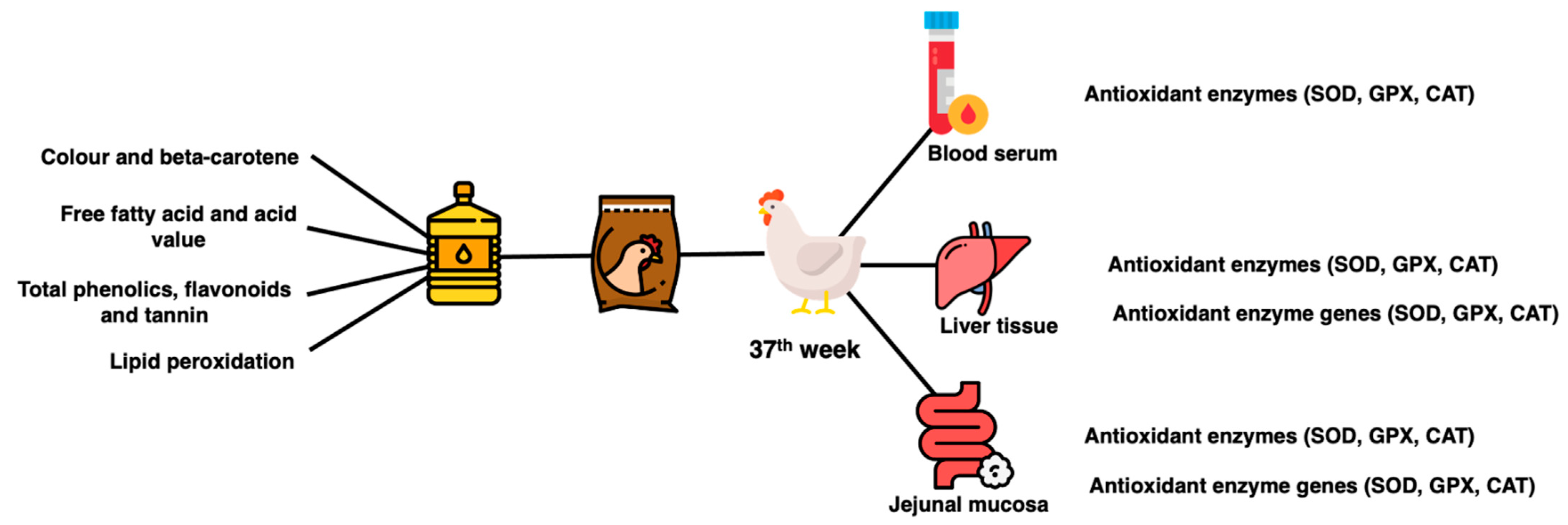 Animals 13 02245 g002 Animals 13 02245 g002