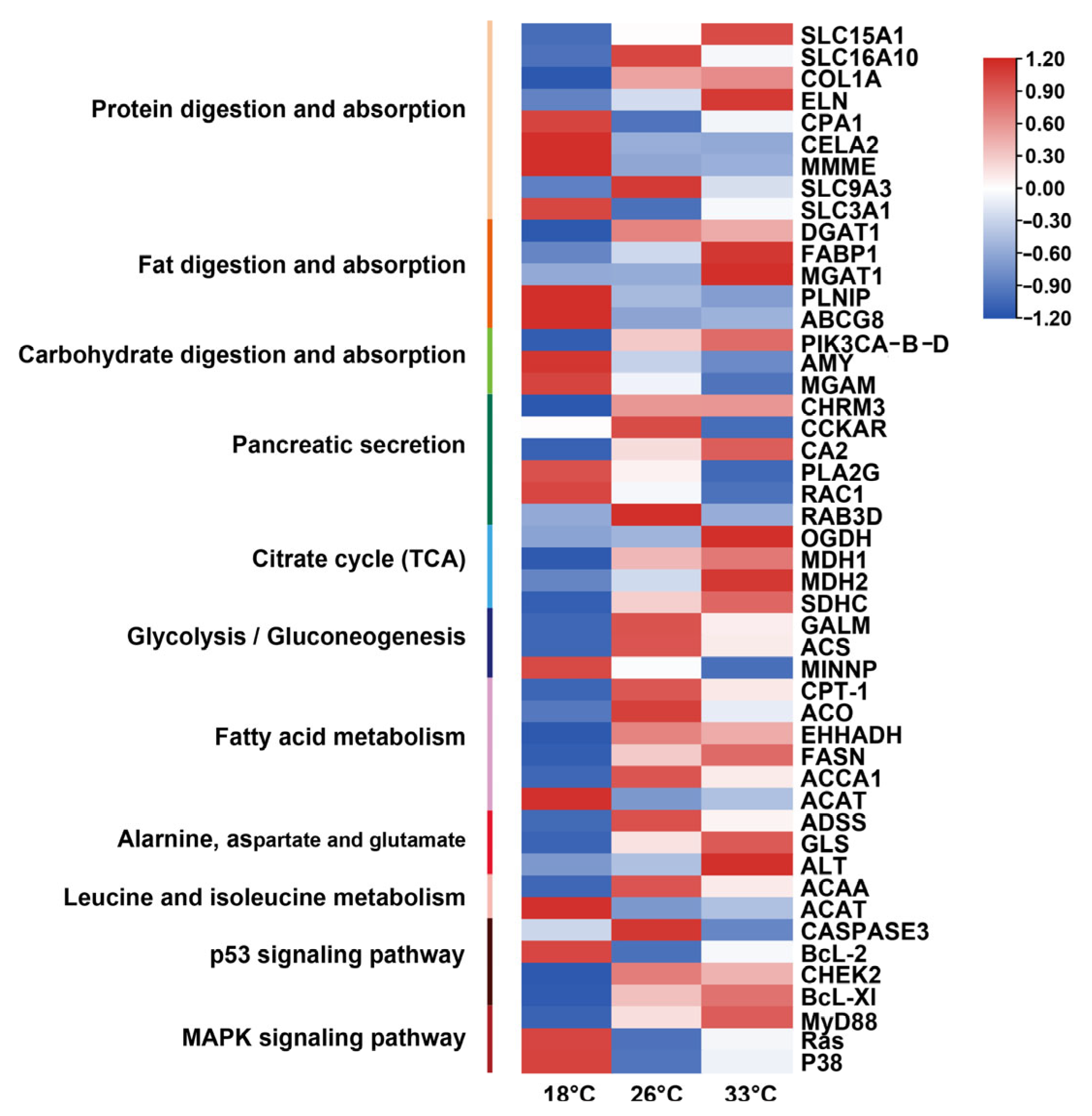 Animals 13 02248 g004