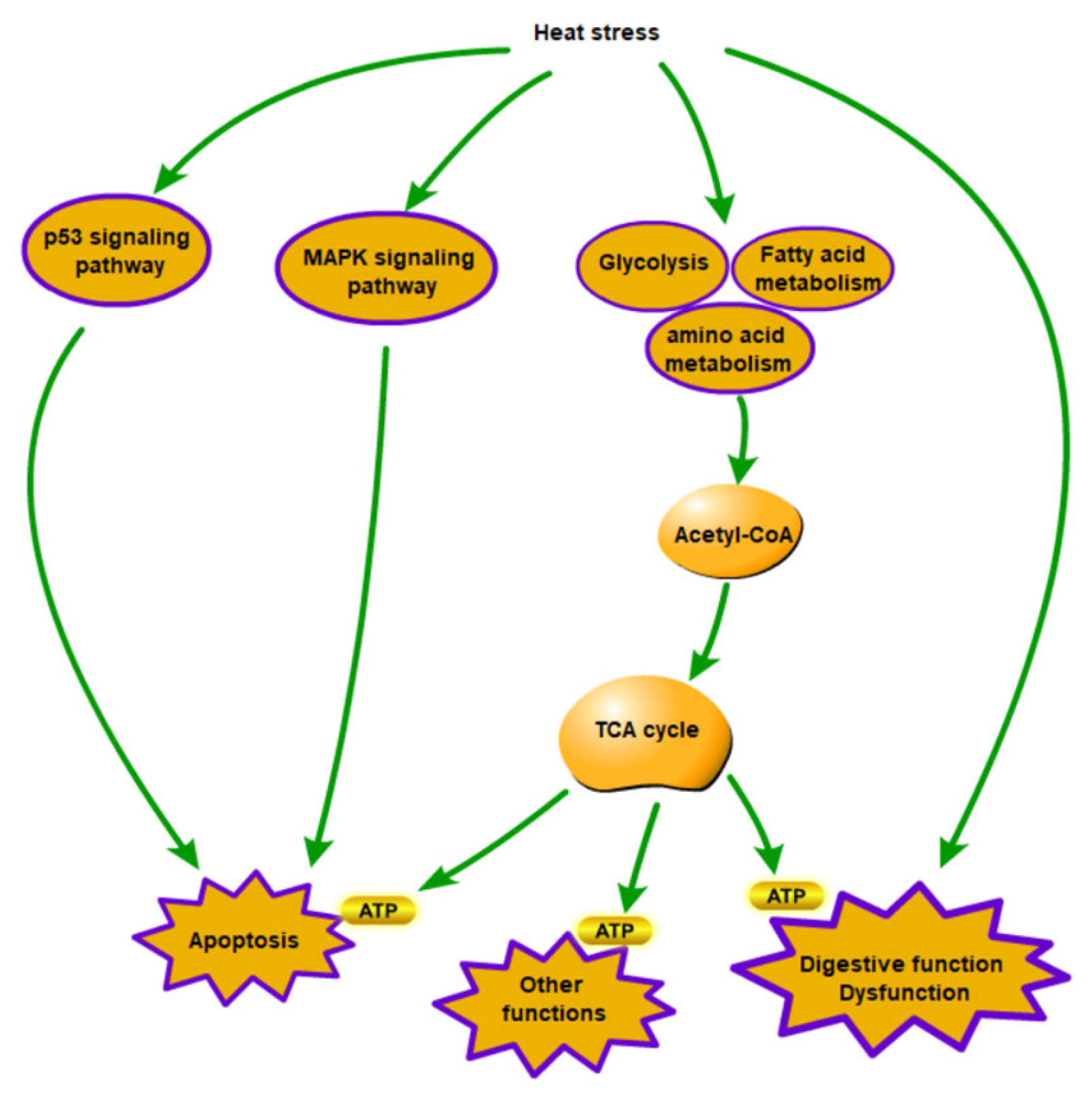 Animals 13 02248 g006