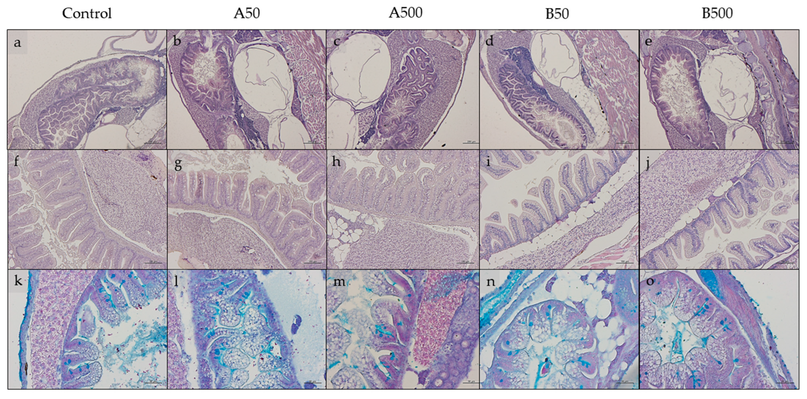 Animals 13 02256 g003