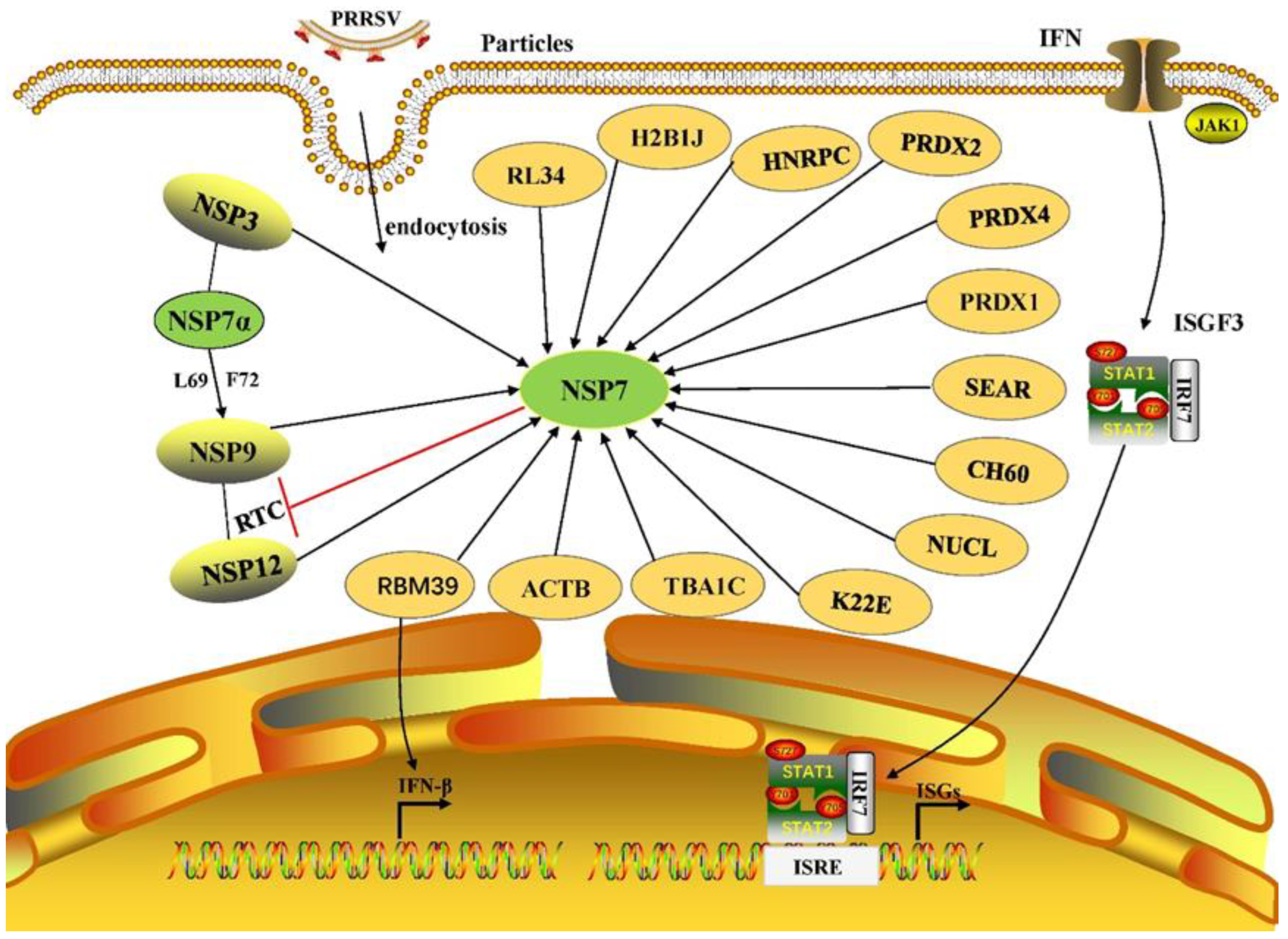 Animals 13 02269 g001