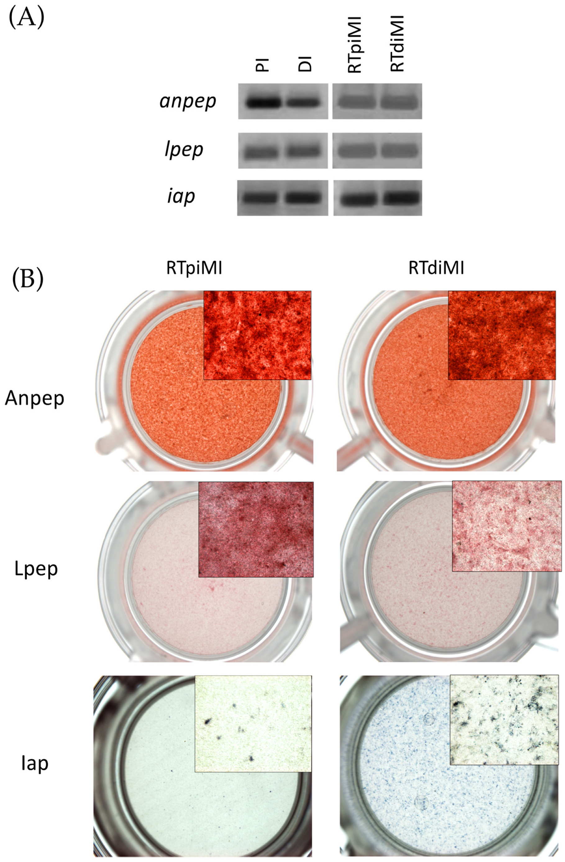 Animals 13 02278 g004