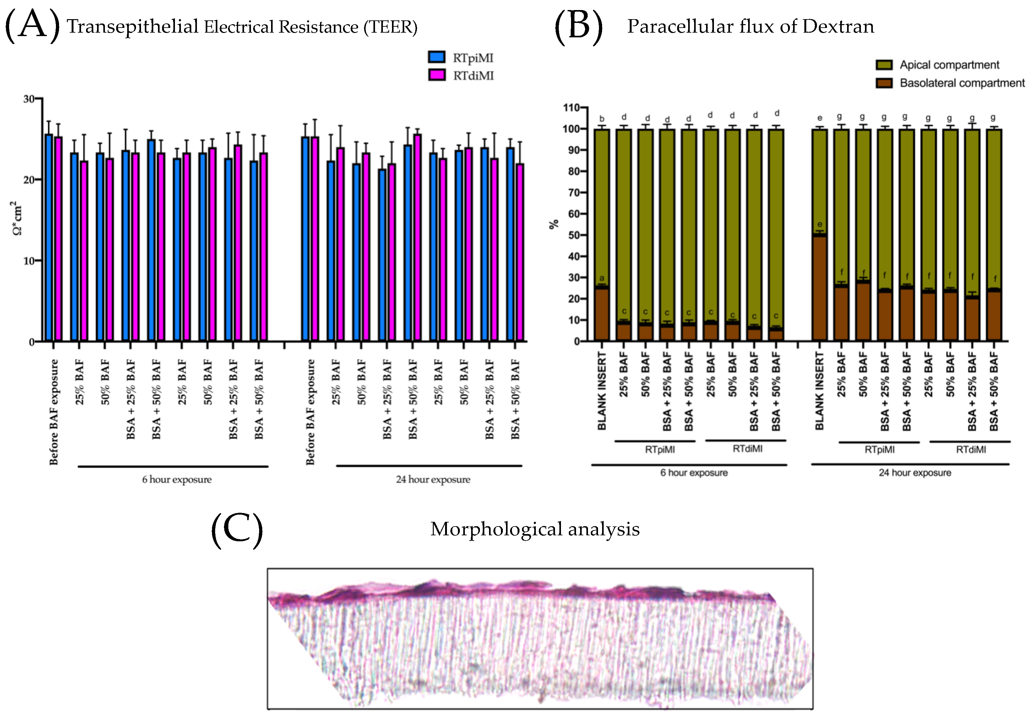 Animals 13 02278 g006