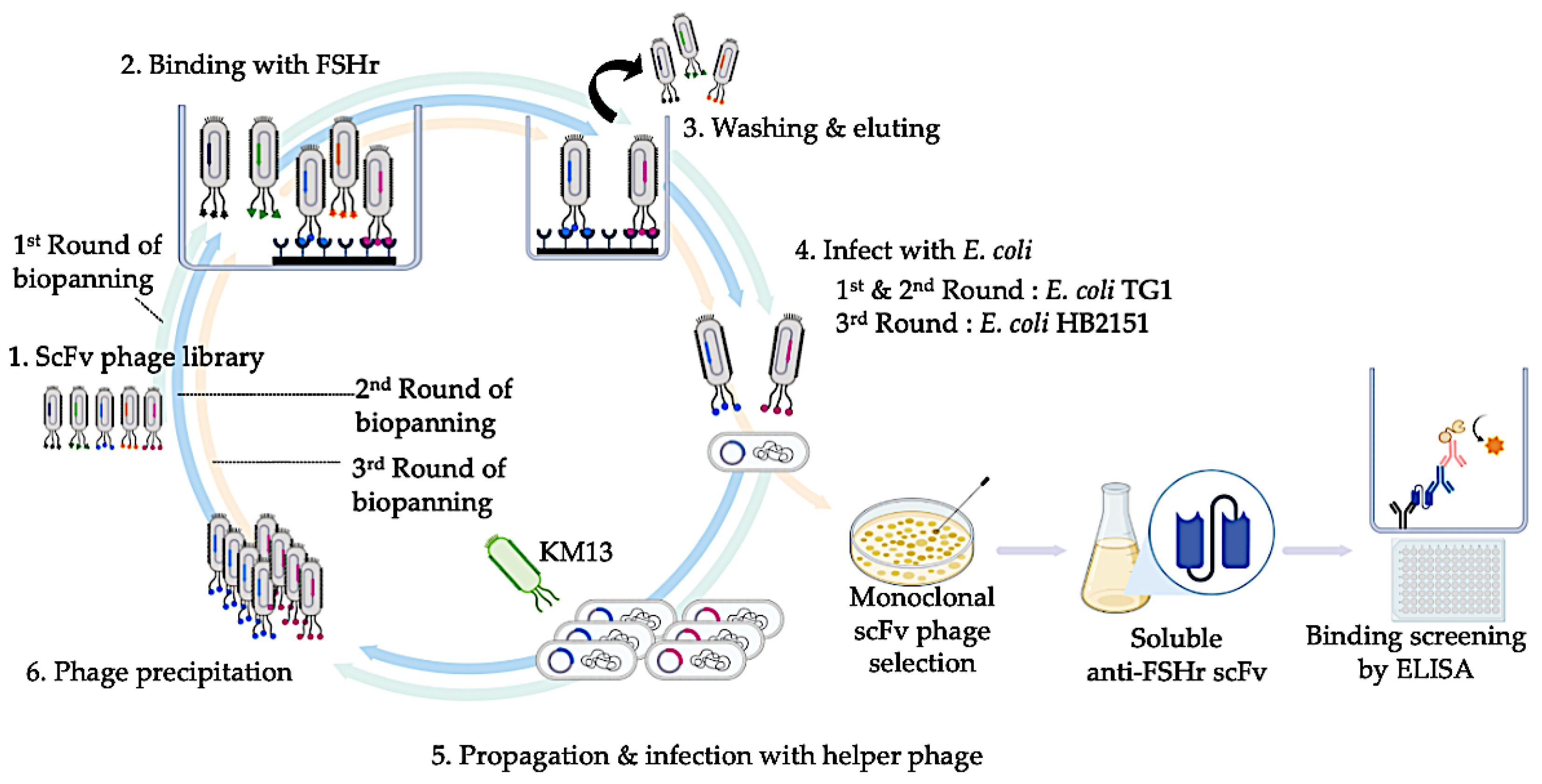 Animals 13 02282 g001 Animals 13 02282 g001