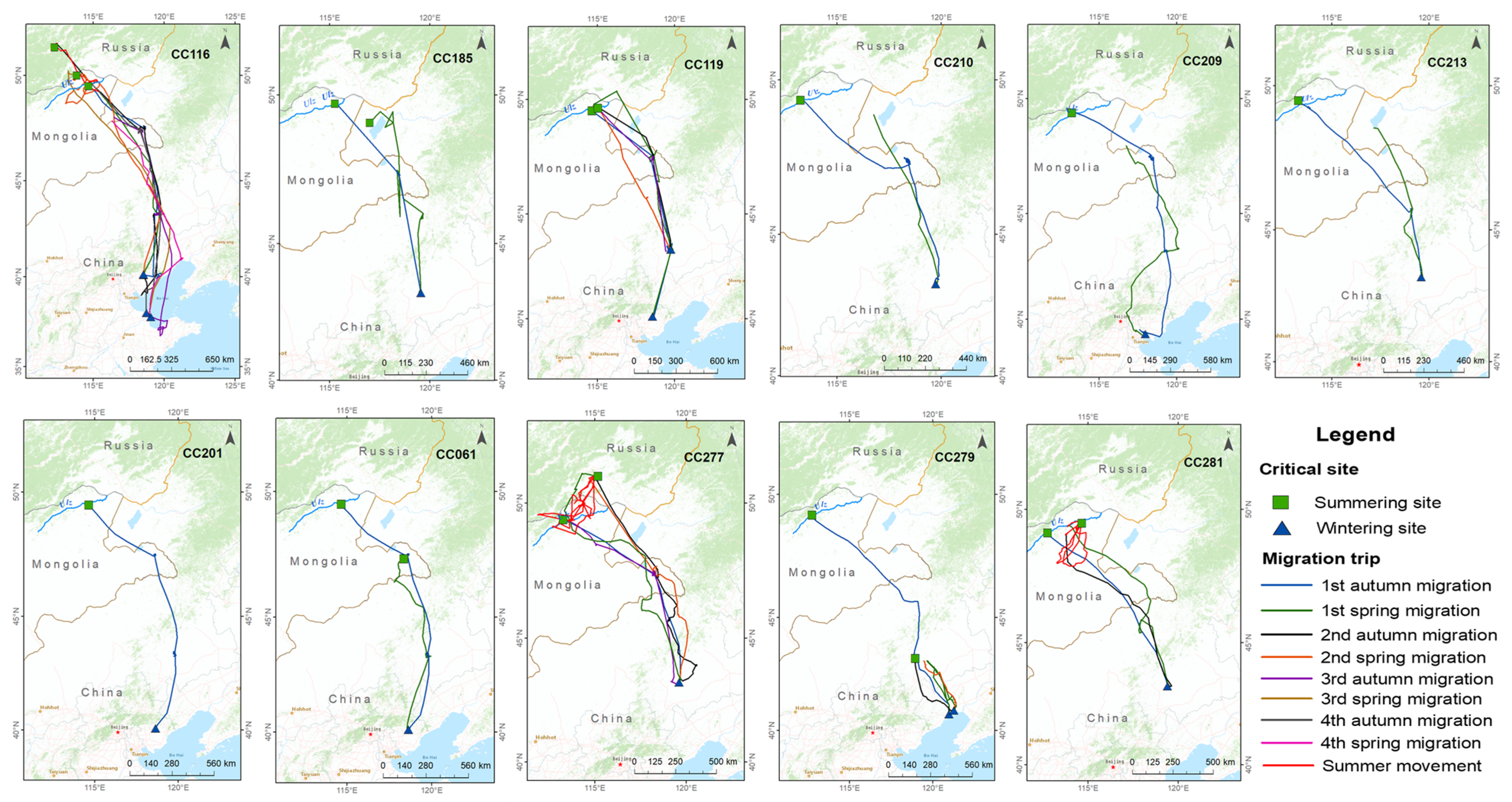 Animals 13 02287 g001