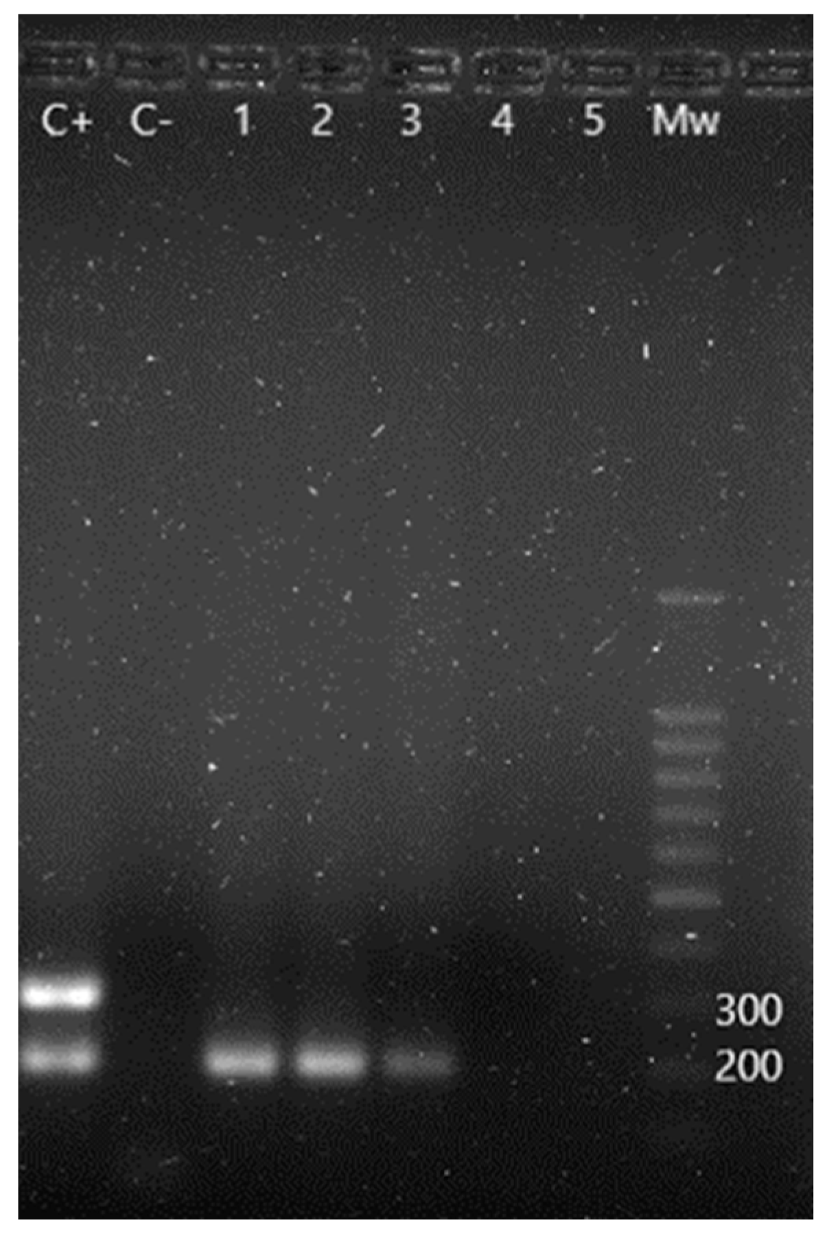 Animals 13 02288 g003