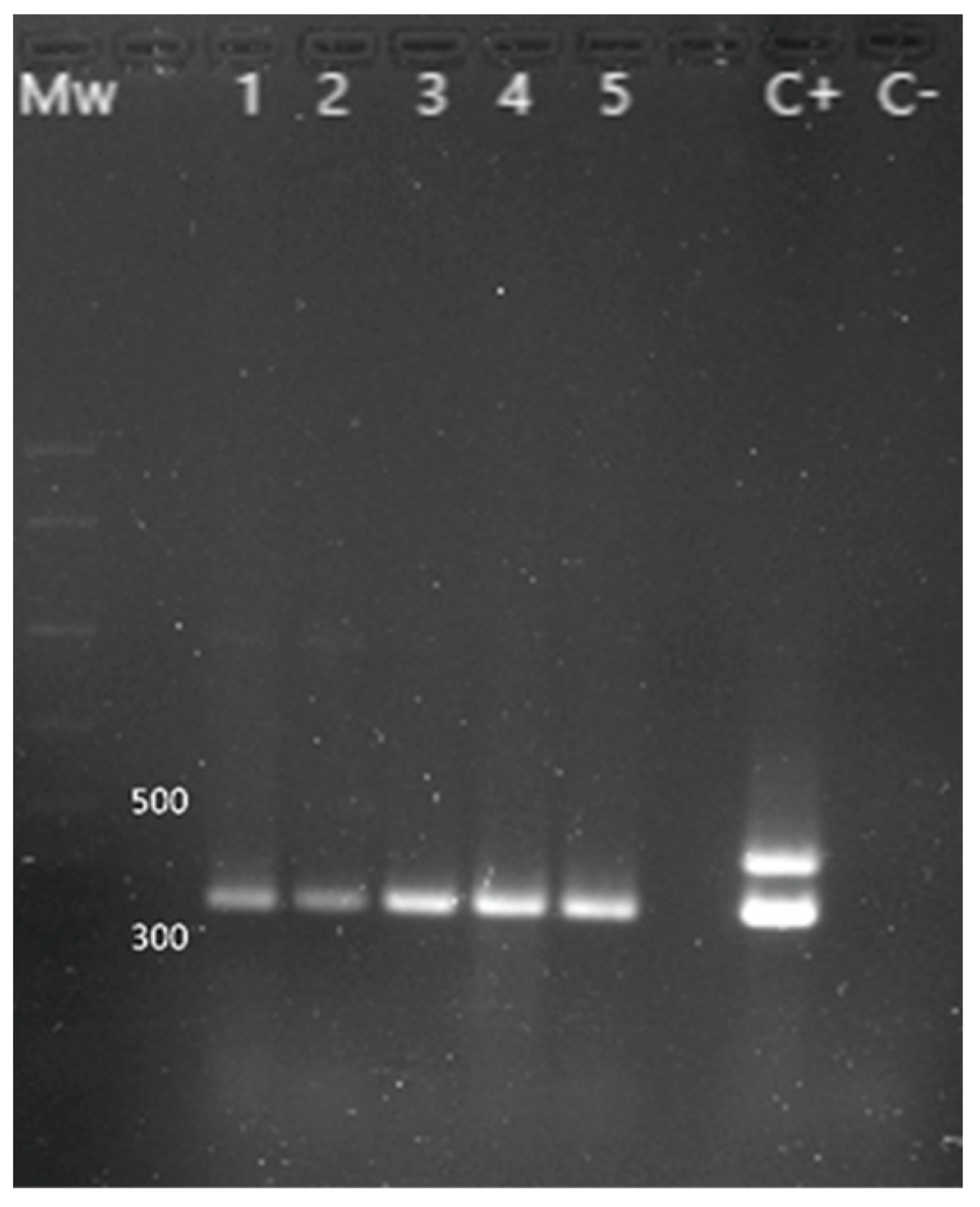 Animals 13 02288 g004