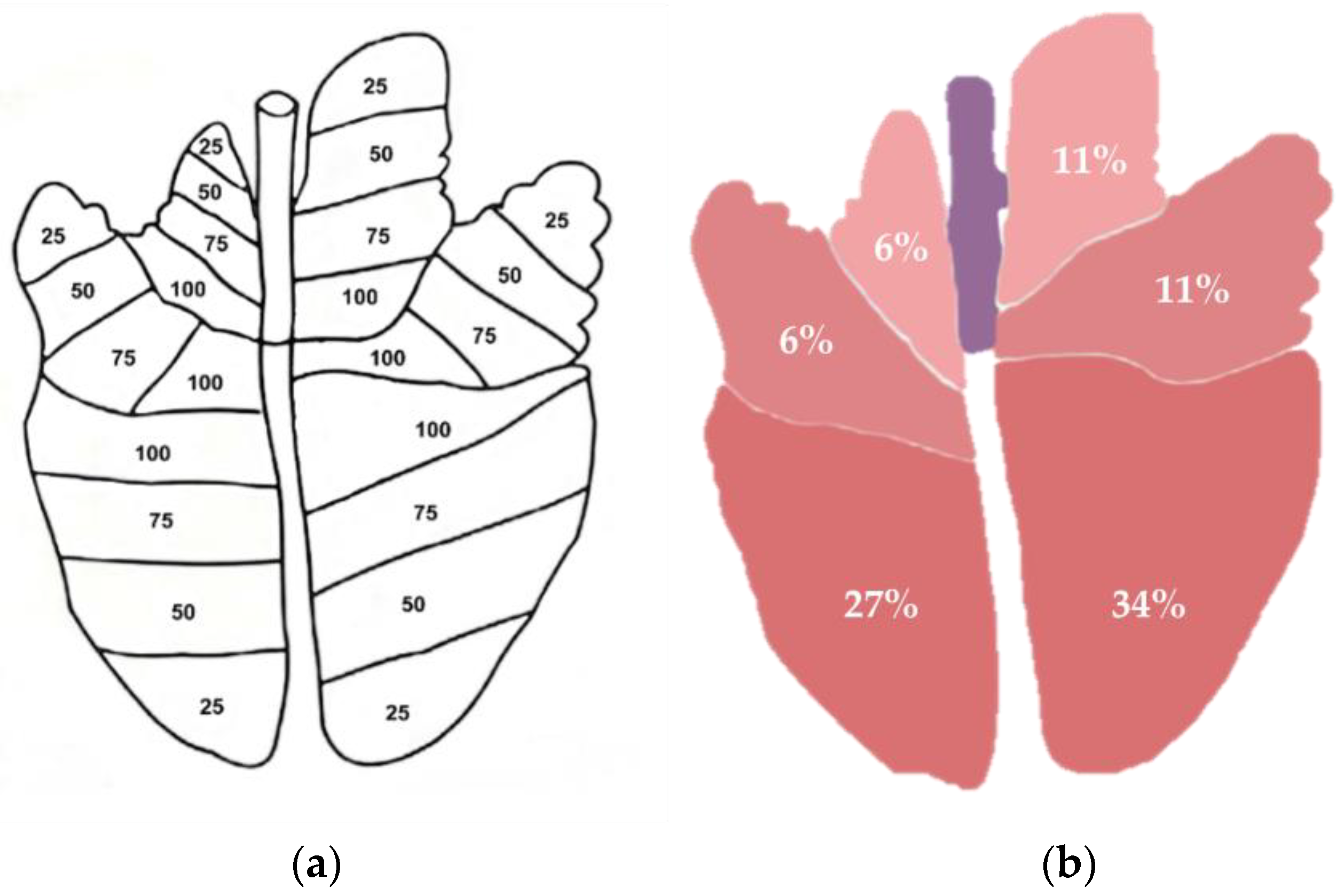 Animals 13 02292 g001