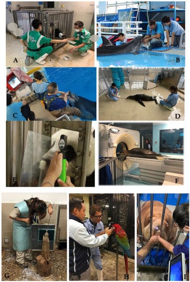 Animals 13 02299 g0a1