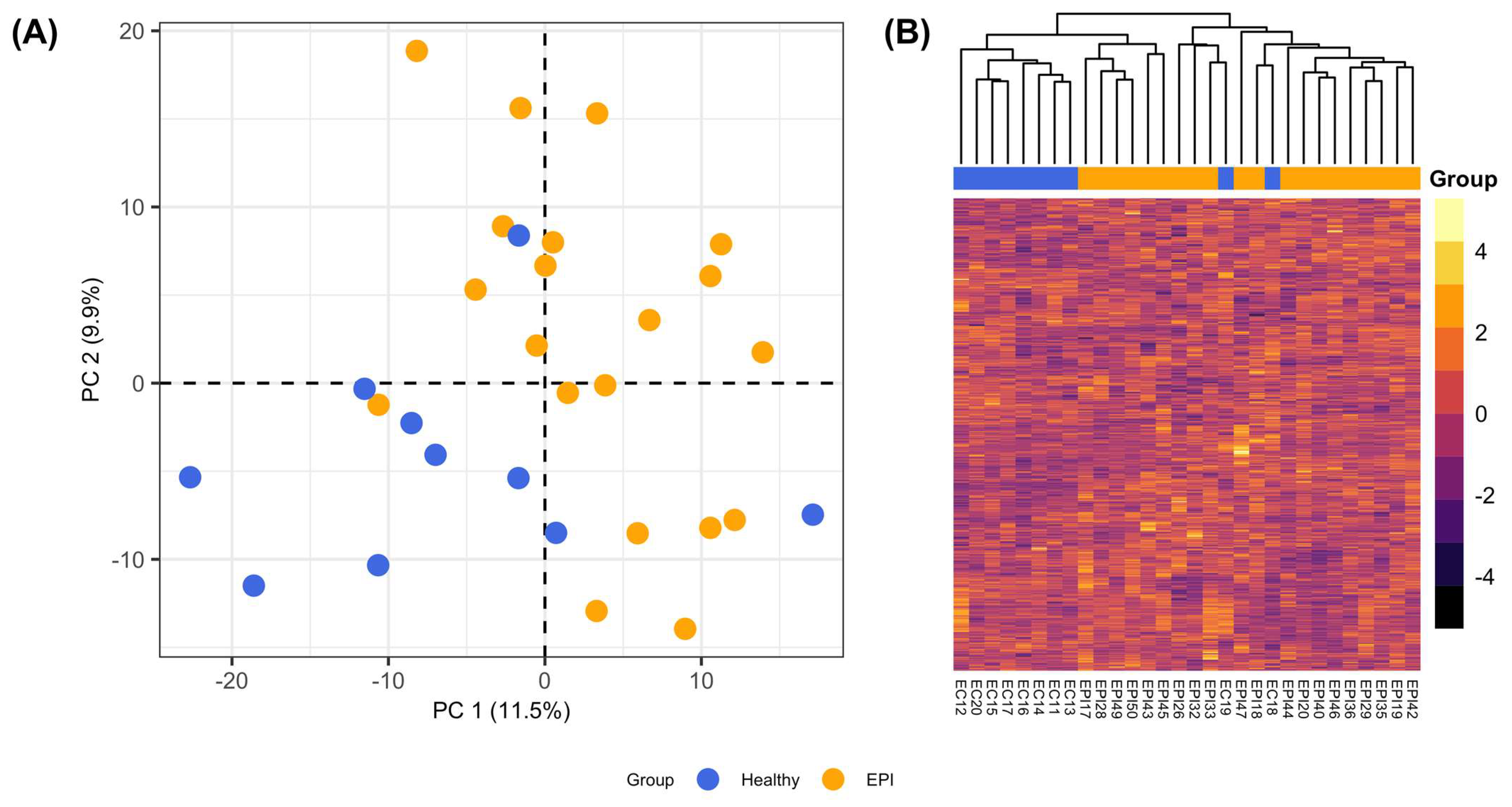 Animals 13 02313 g001