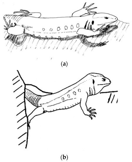 Animals 13 02319 g009