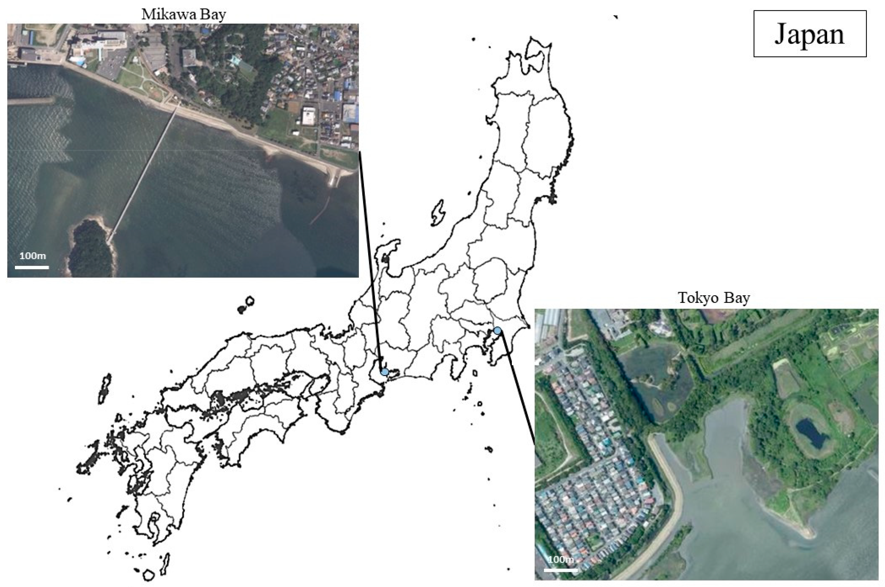 Animals 13 02338 g001