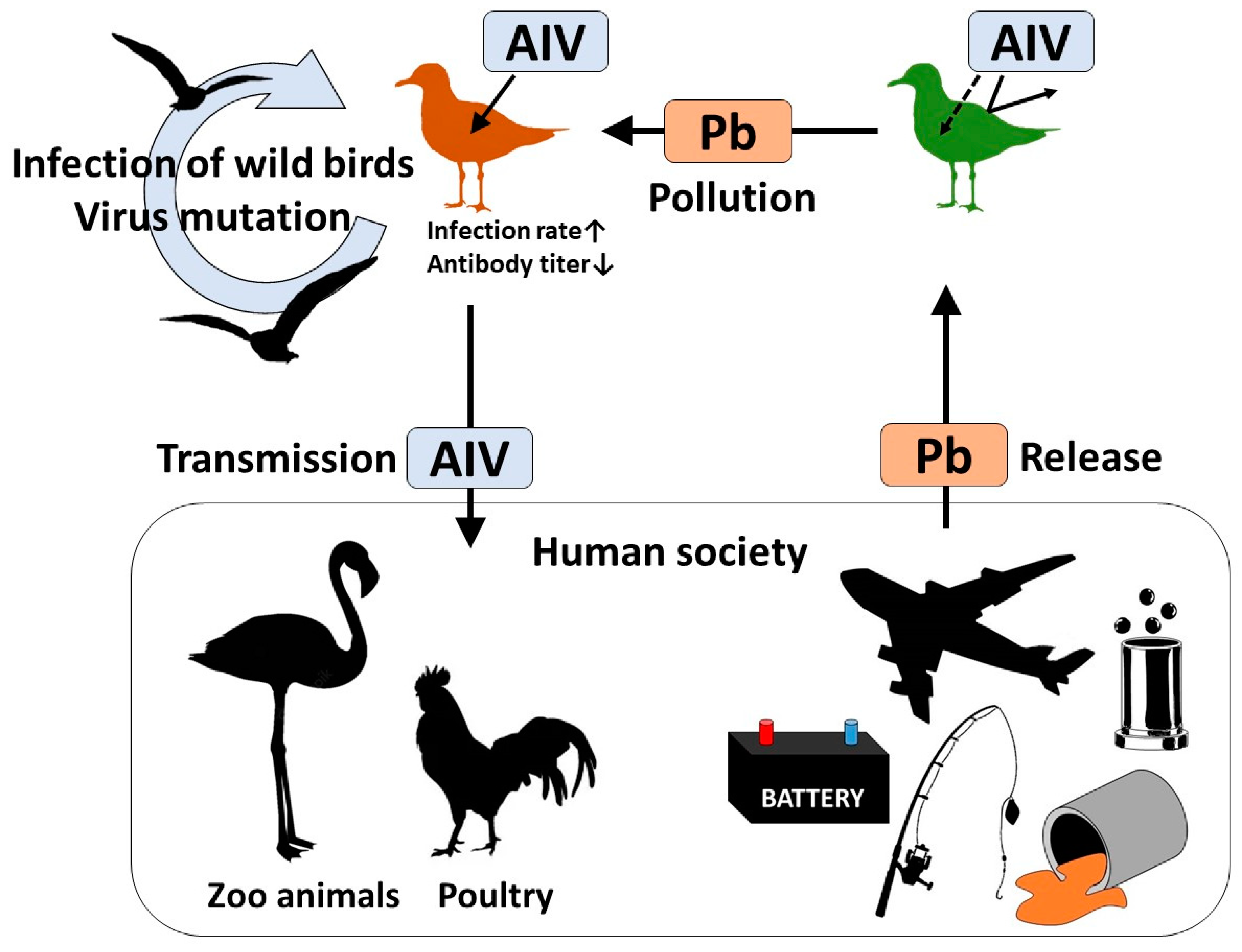 Animals 13 02338 g004