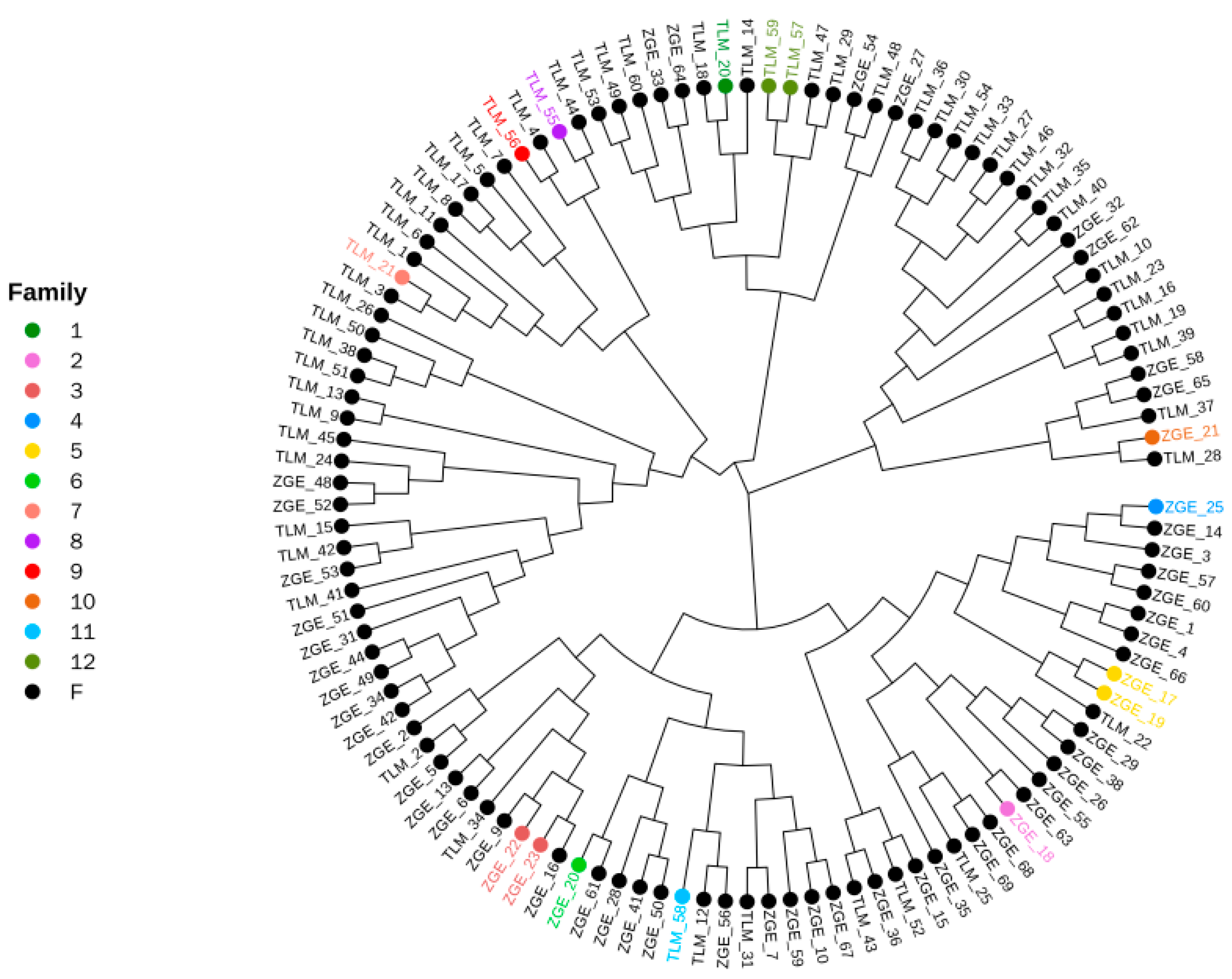 Animals 13 02349 g012