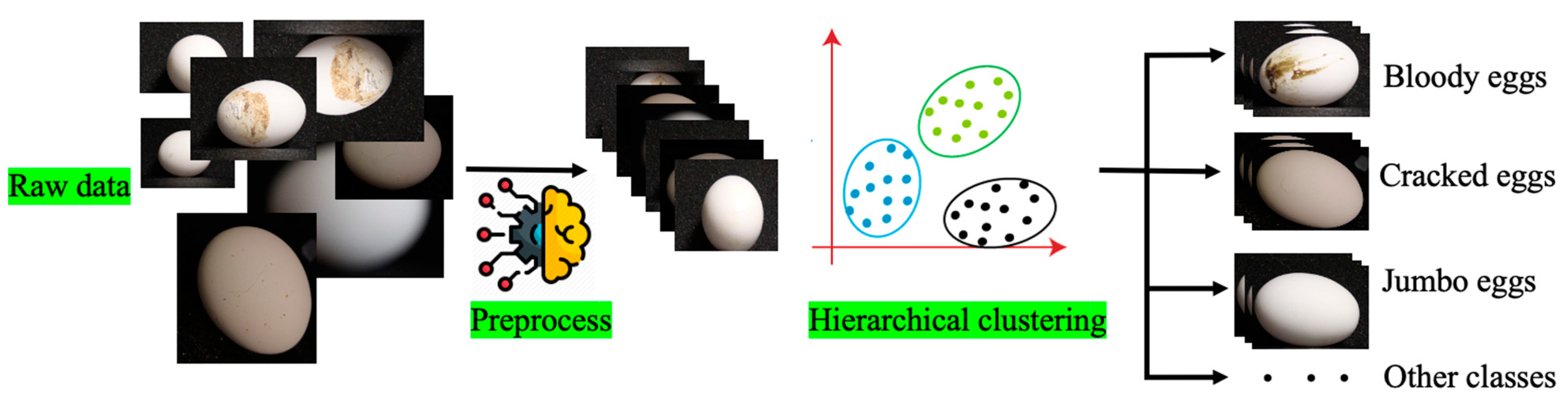 Animals 13 02354 g004