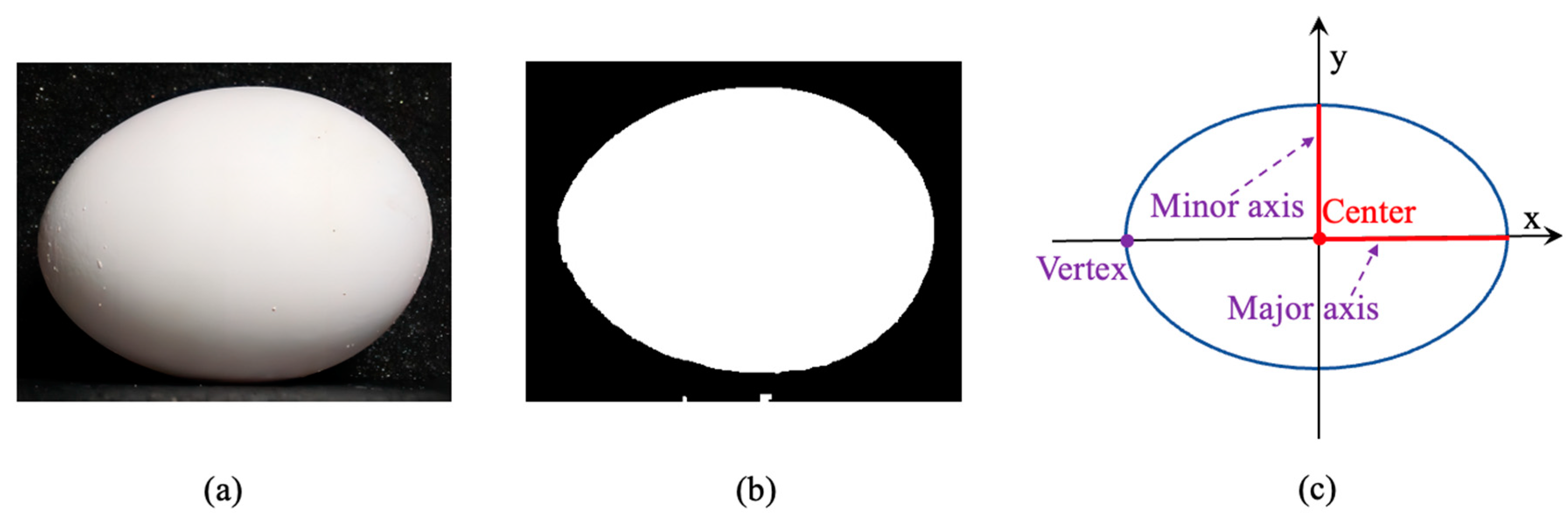 Animals 13 02354 g008