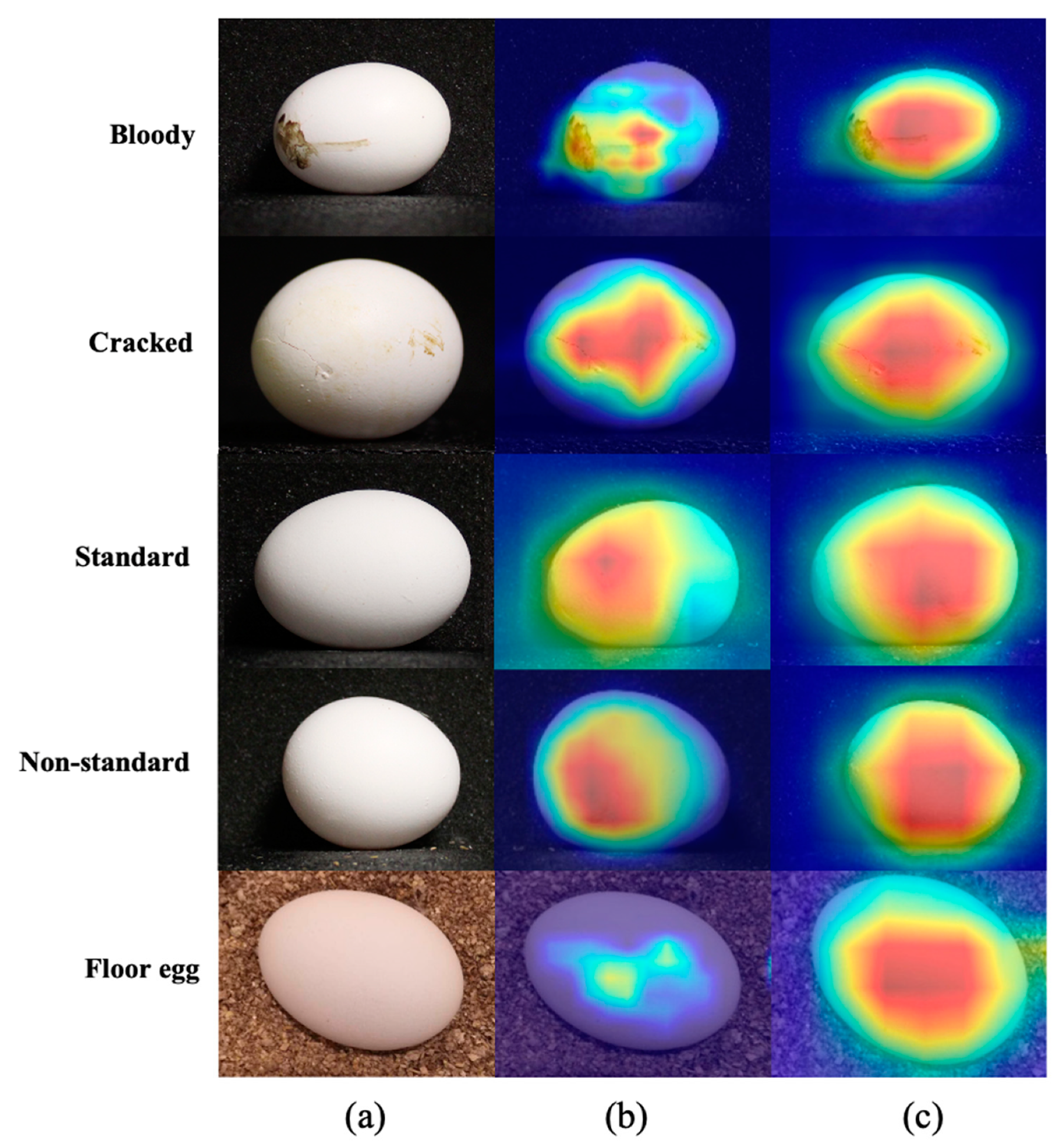 Animals 13 02354 g011