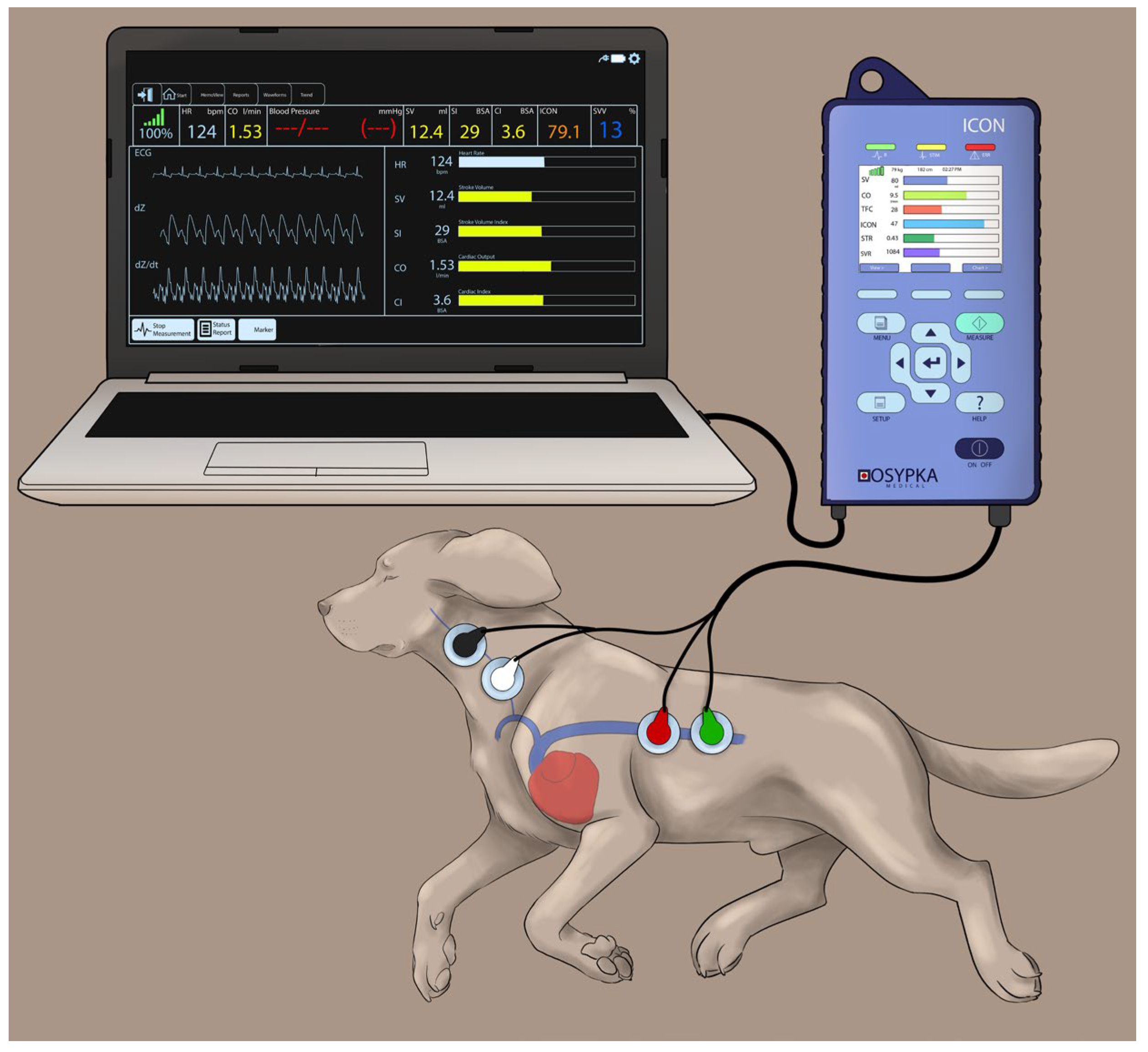 Animals 13 02362 g001 Animals 13 02362 g001