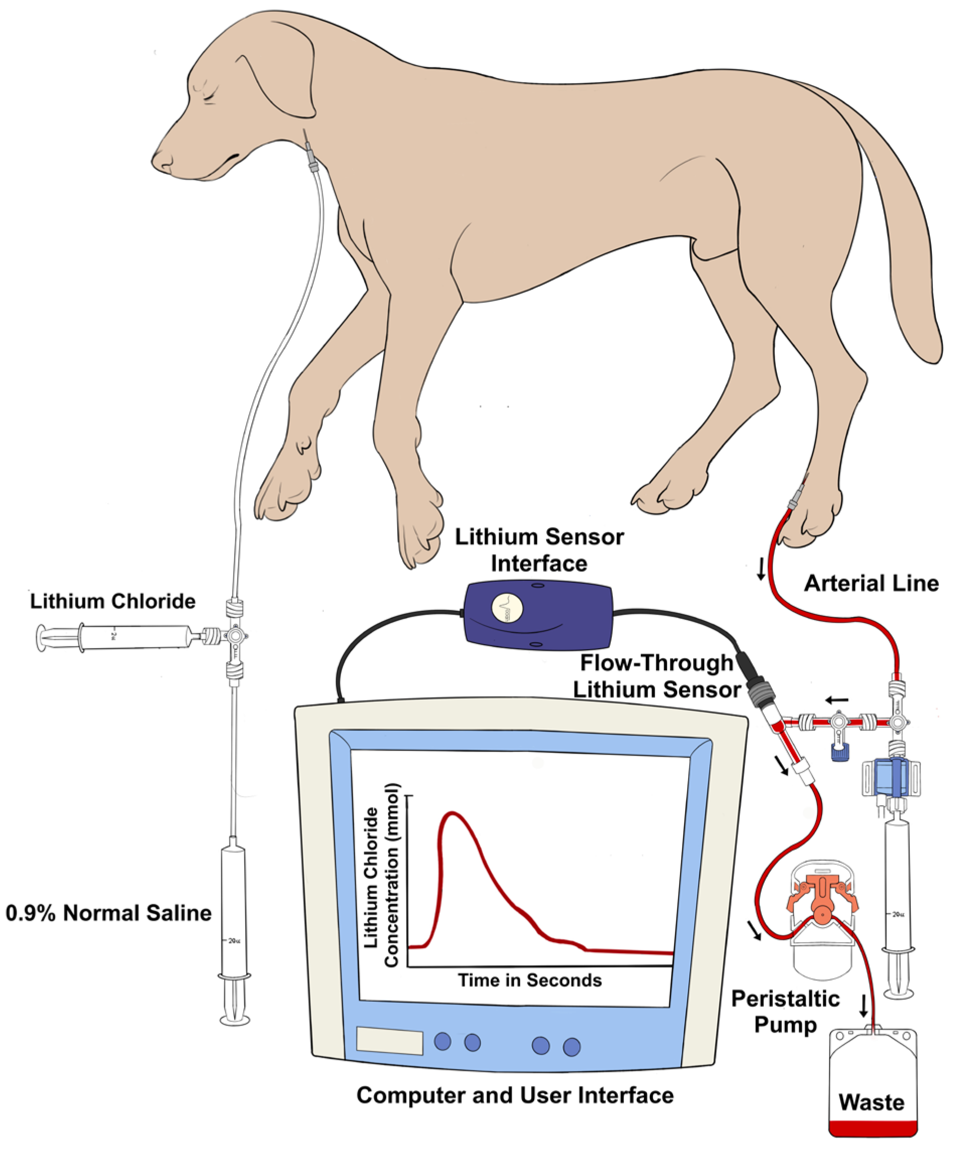 Animals 13 02362 g002 Animals 13 02362 g002