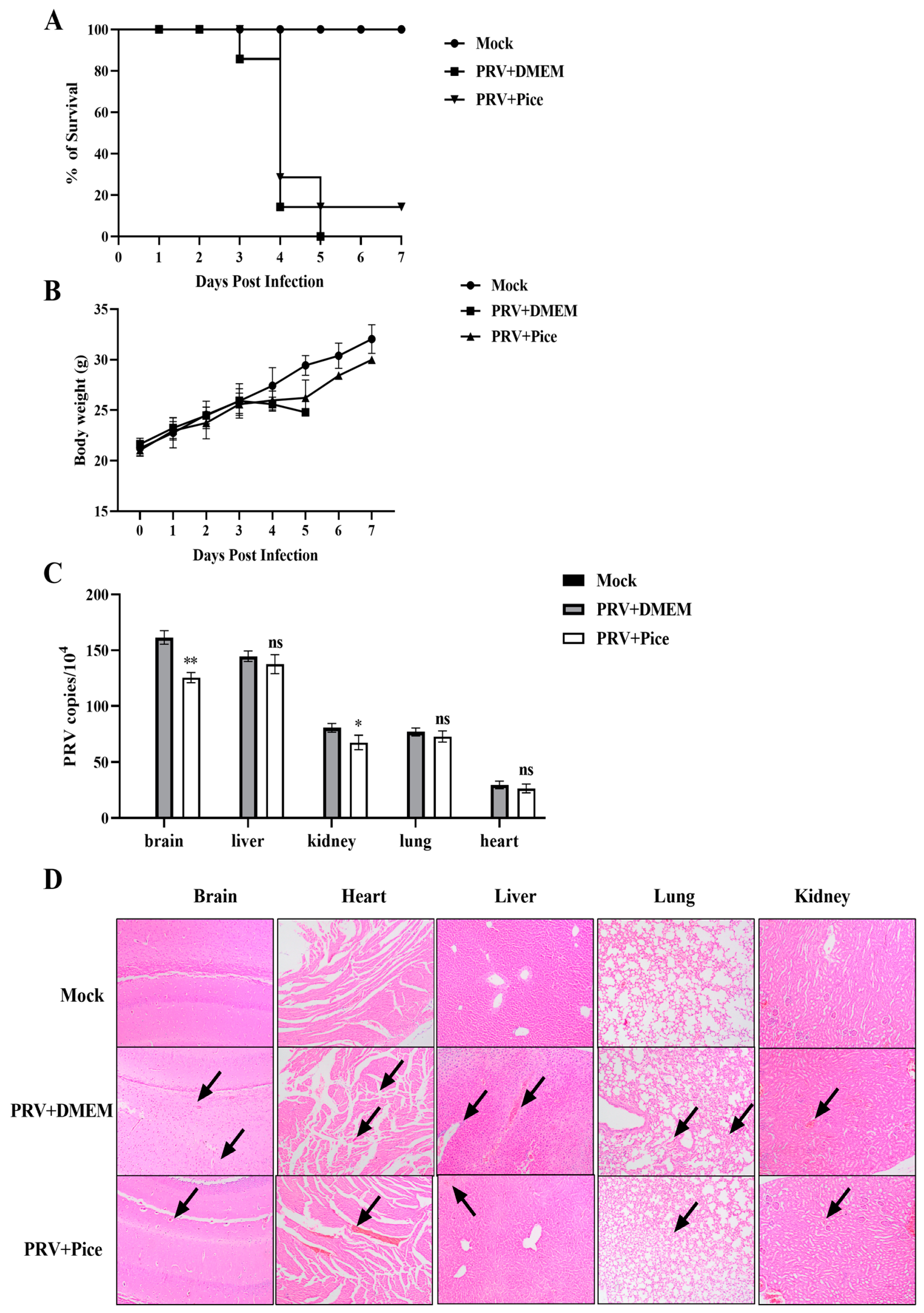 Animals 13 02376 g006