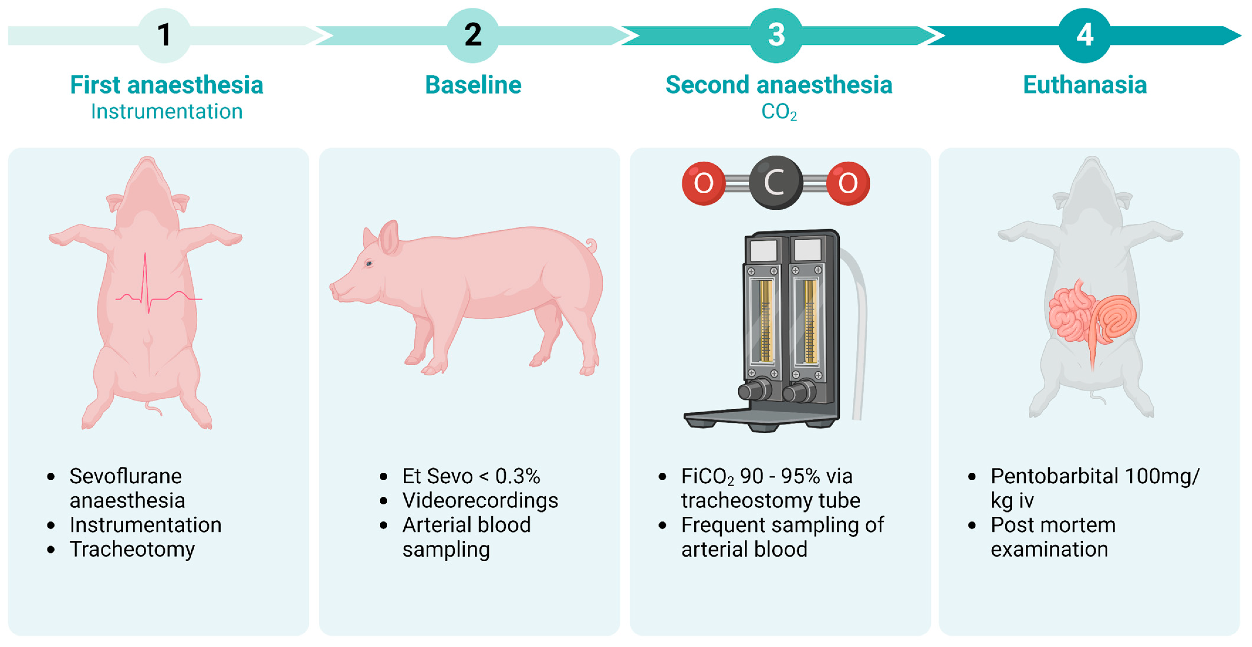 Animals 13 02387 g001