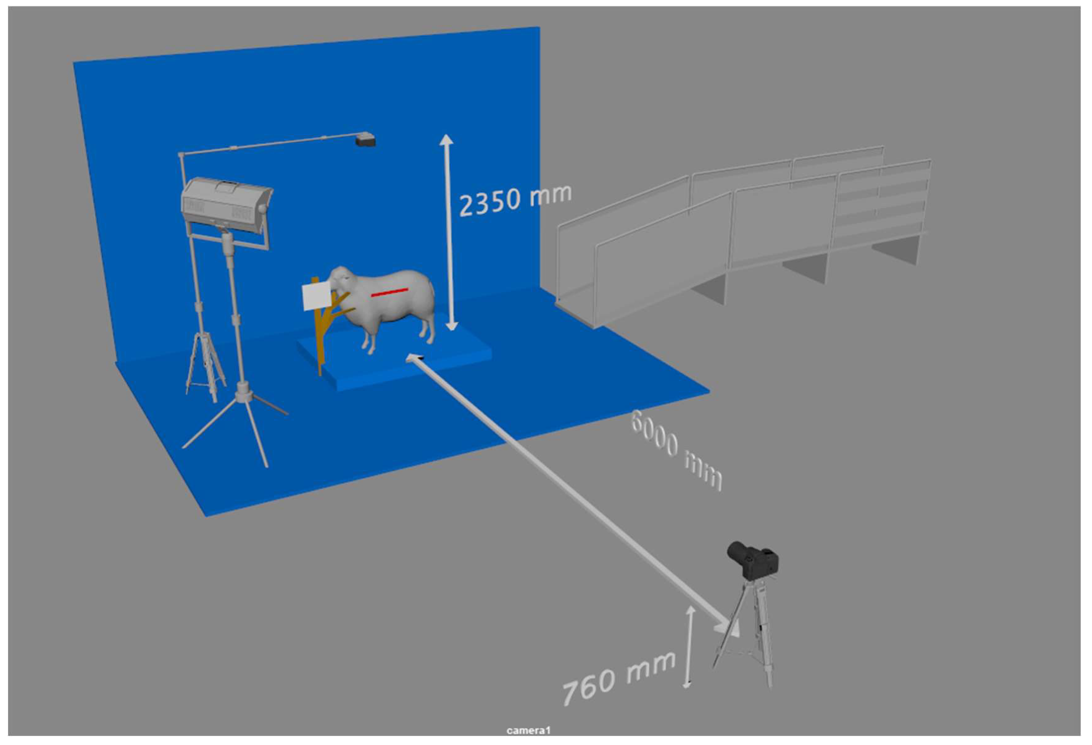 Animals 13 02391 g001 Animals 13 02391 g001