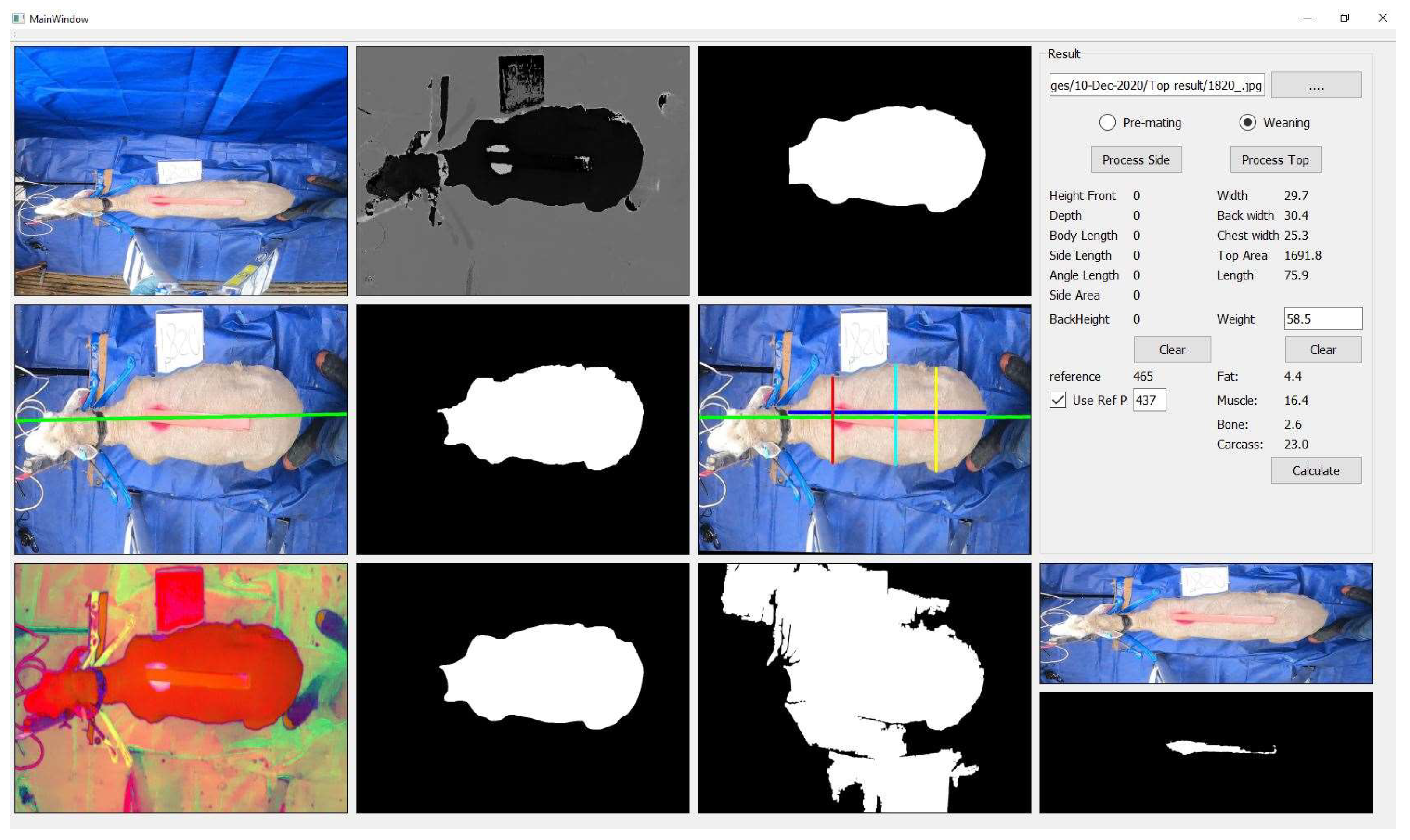 Animals 13 02391 g004 Animals 13 02391 g004