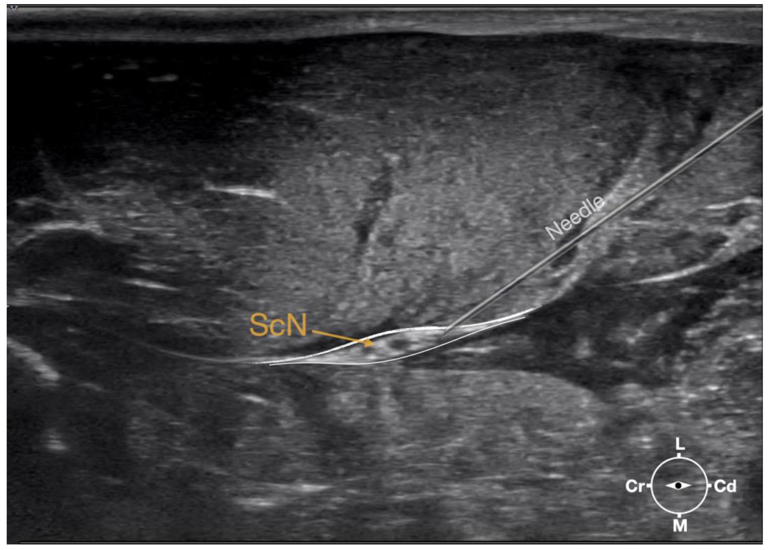 Animals 13 02393 g003 Animals 13 02393 g003