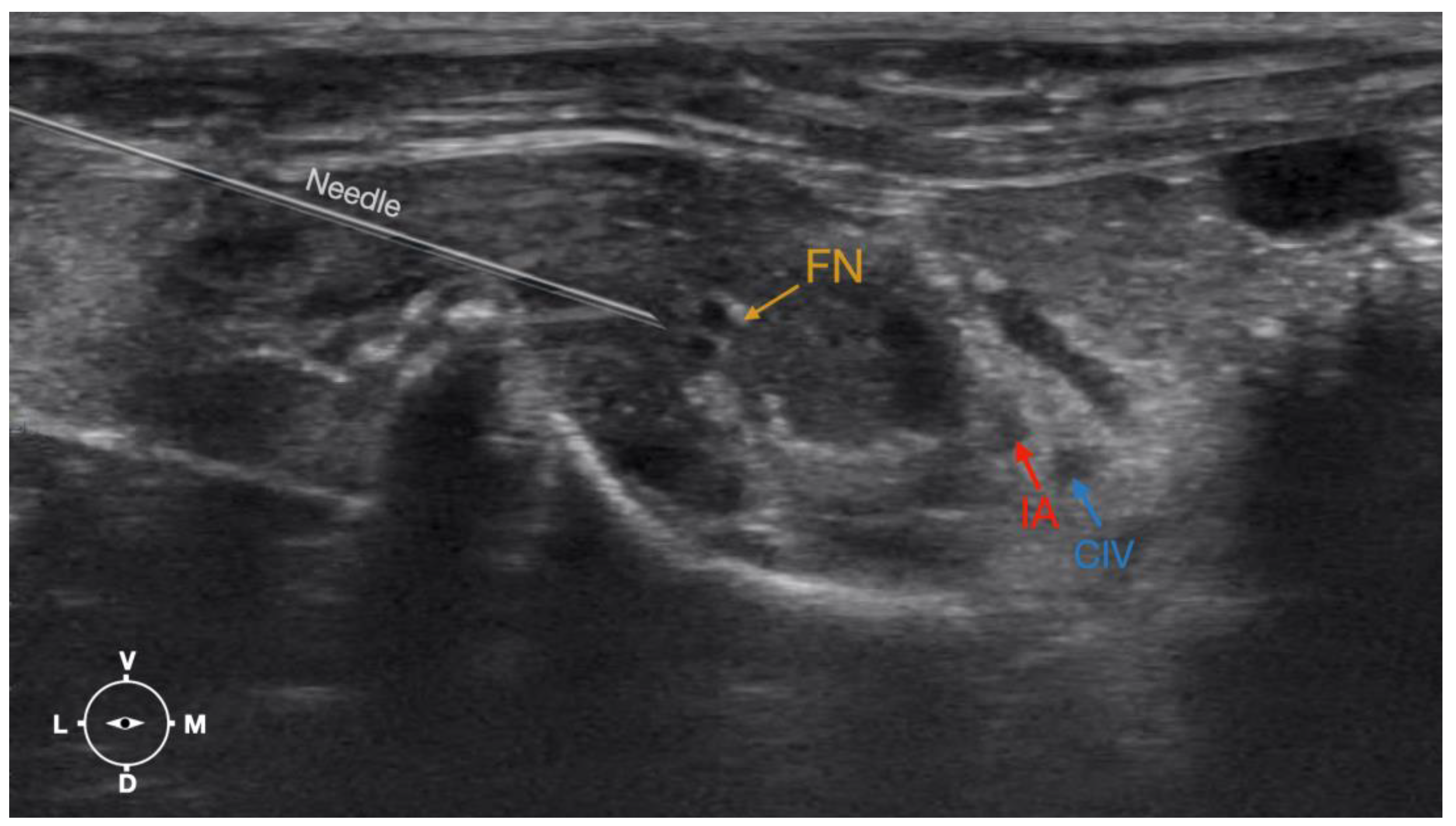 Animals 13 02393 g006 Animals 13 02393 g006