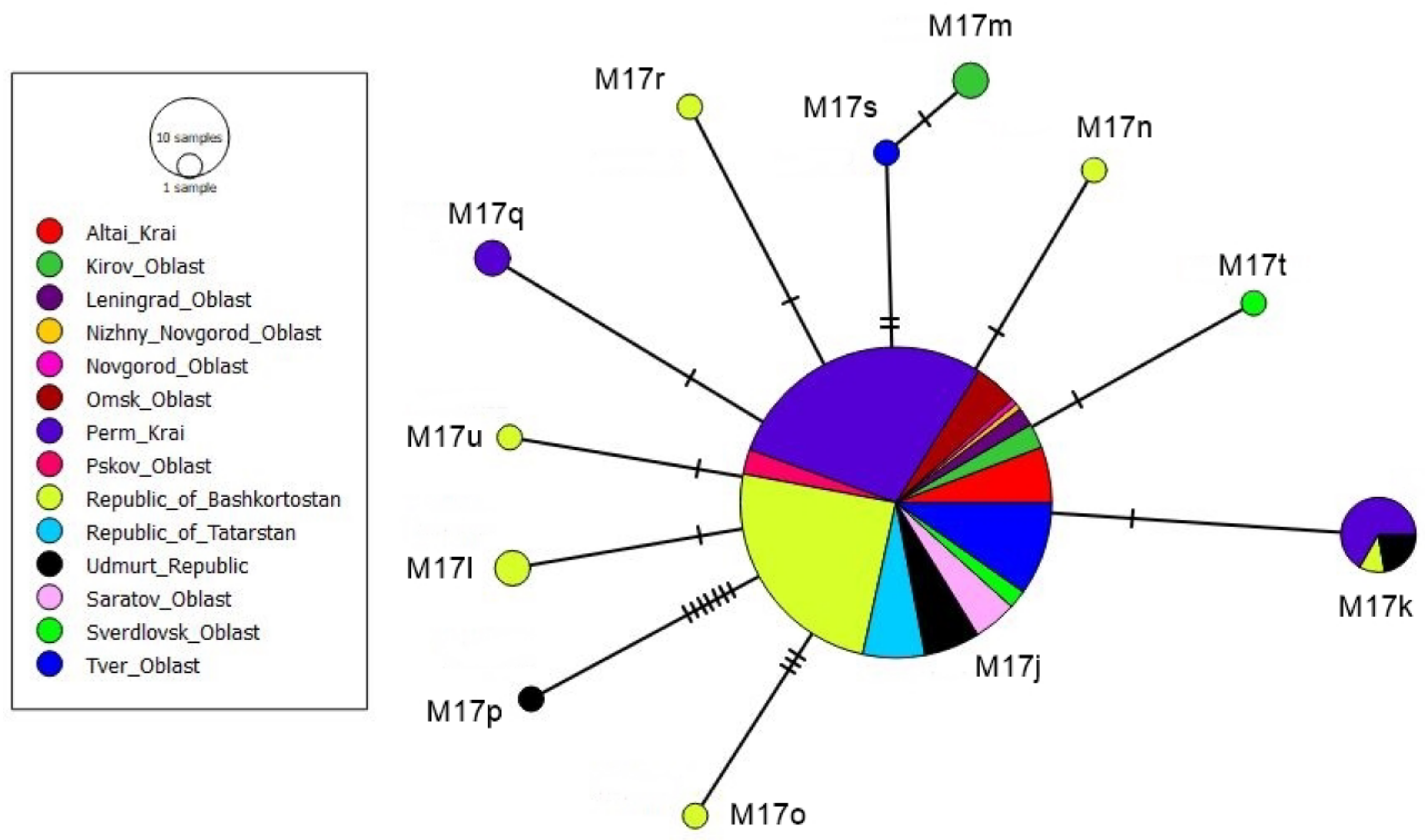 Animals 13 02394 g004