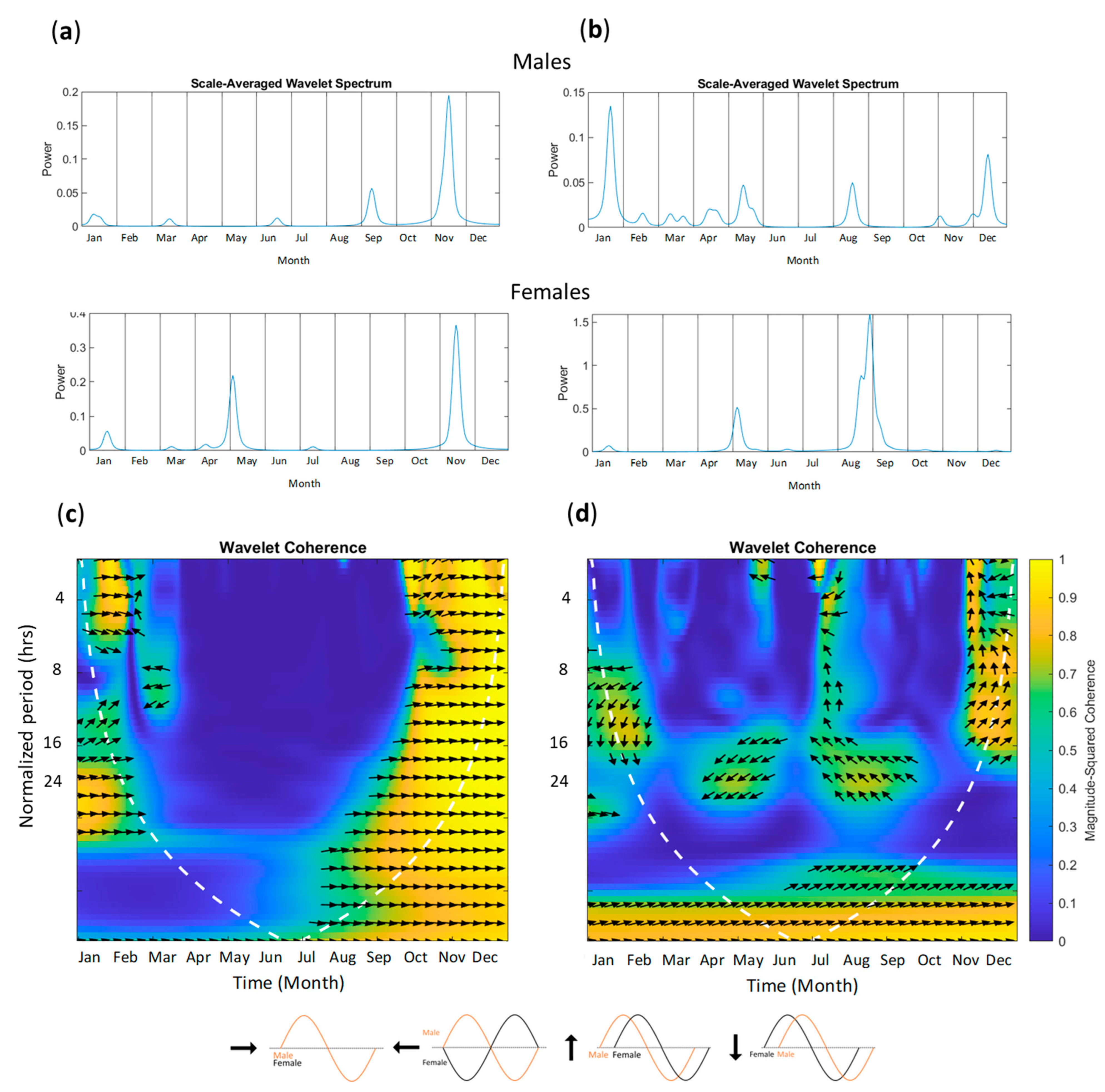 Animals 13 02401 g005