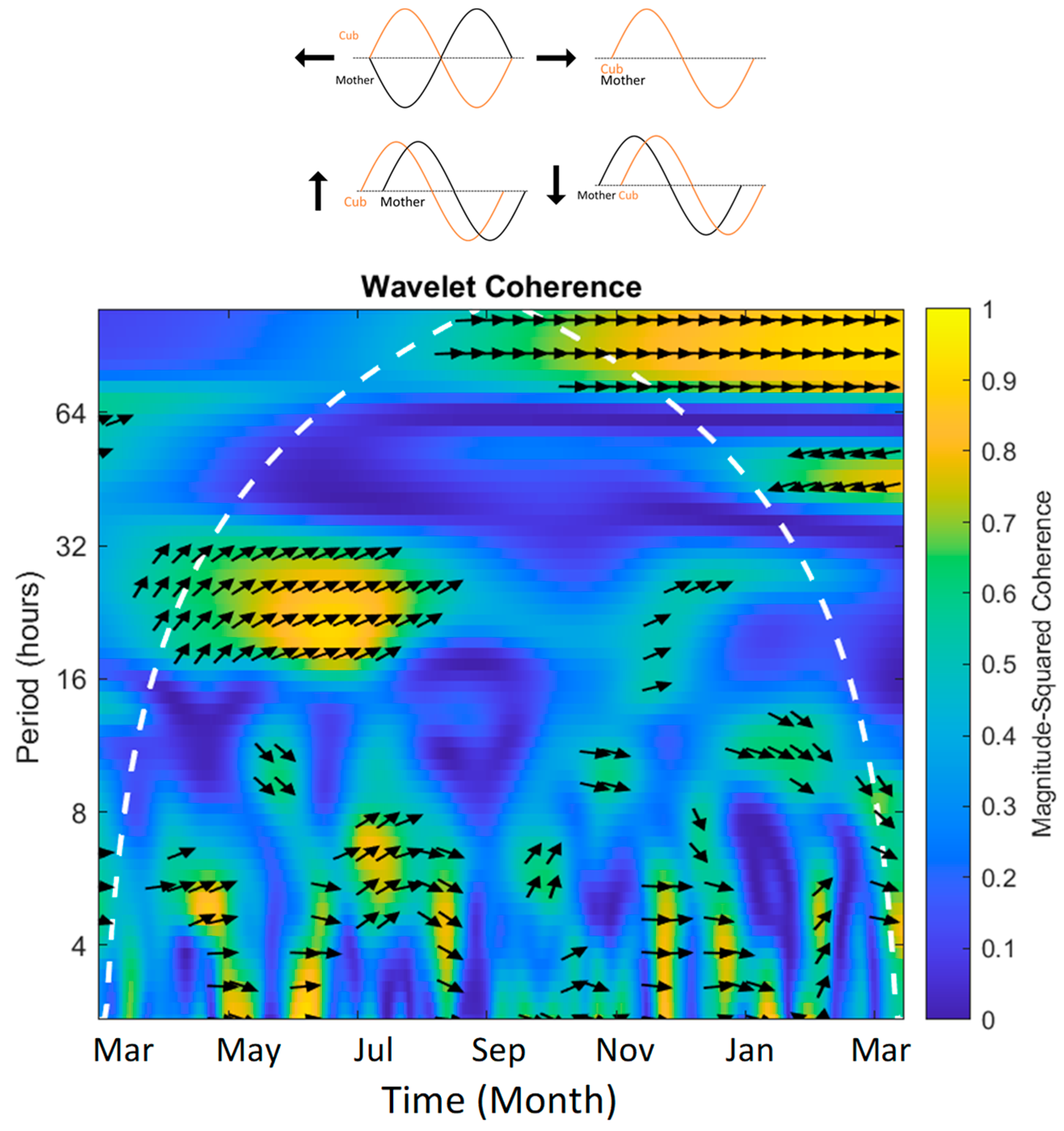 Animals 13 02401 g010