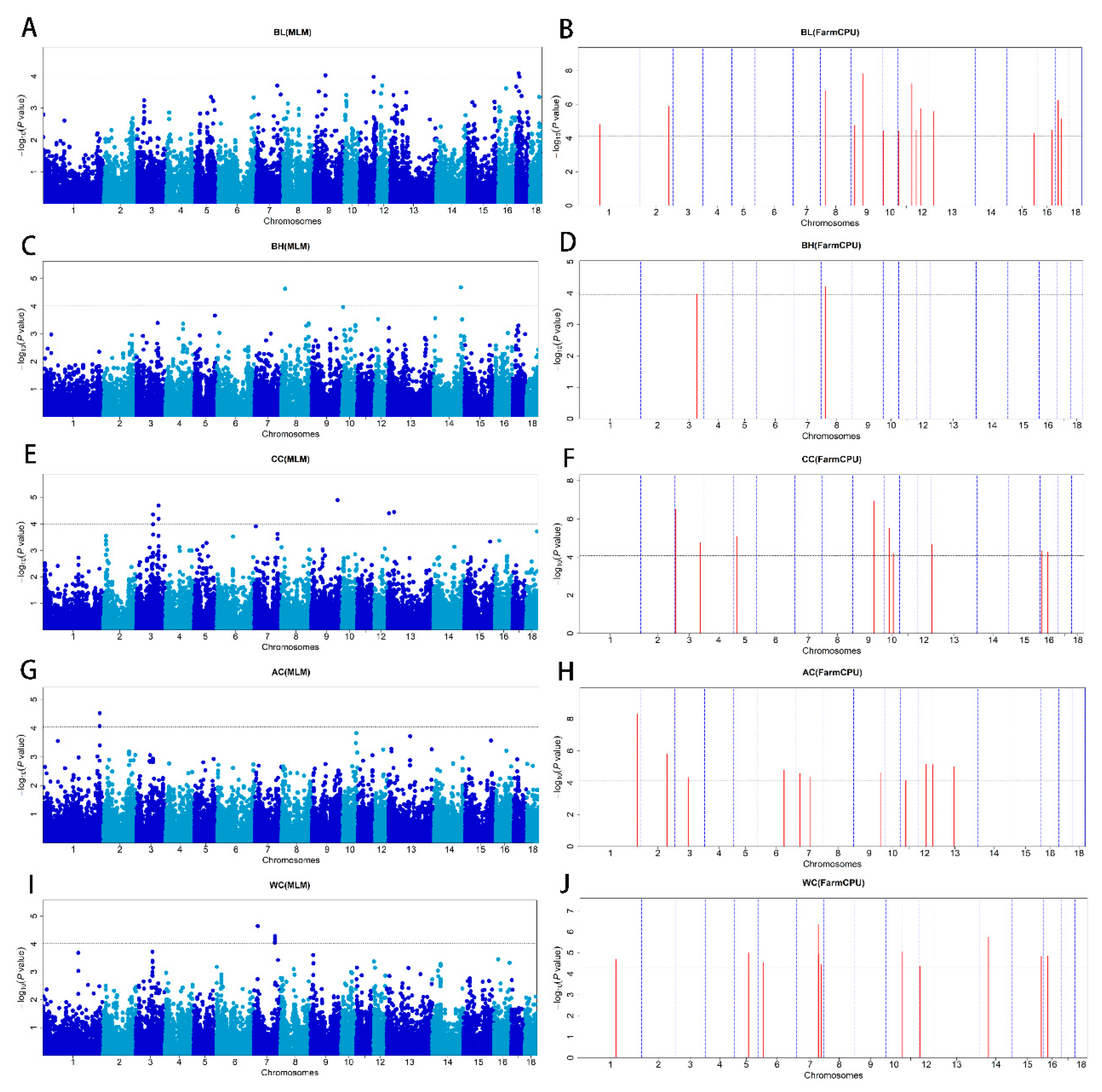 Animals 13 02414 g002 Animals 13 02414 g002