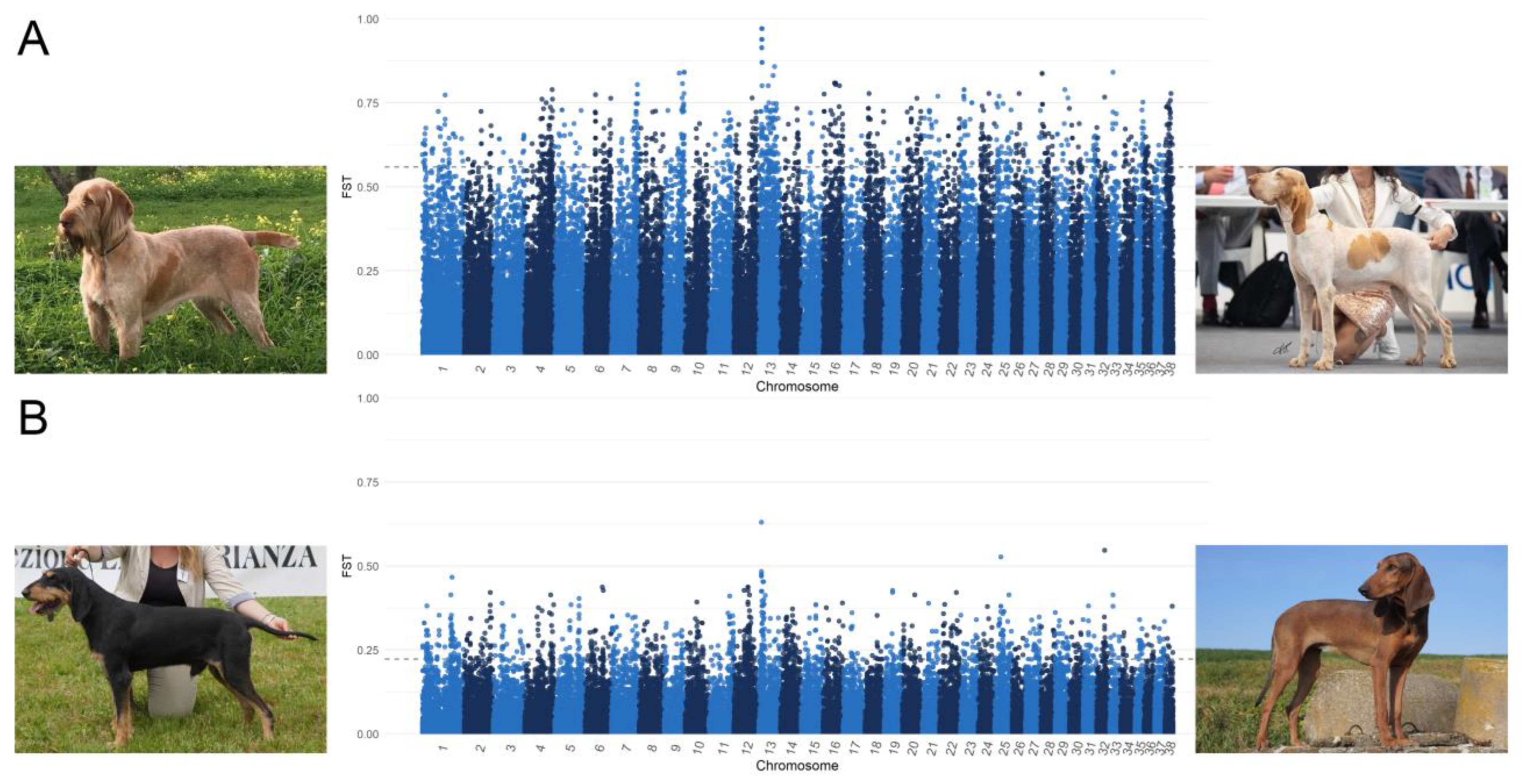 Animals 13 02438 g005